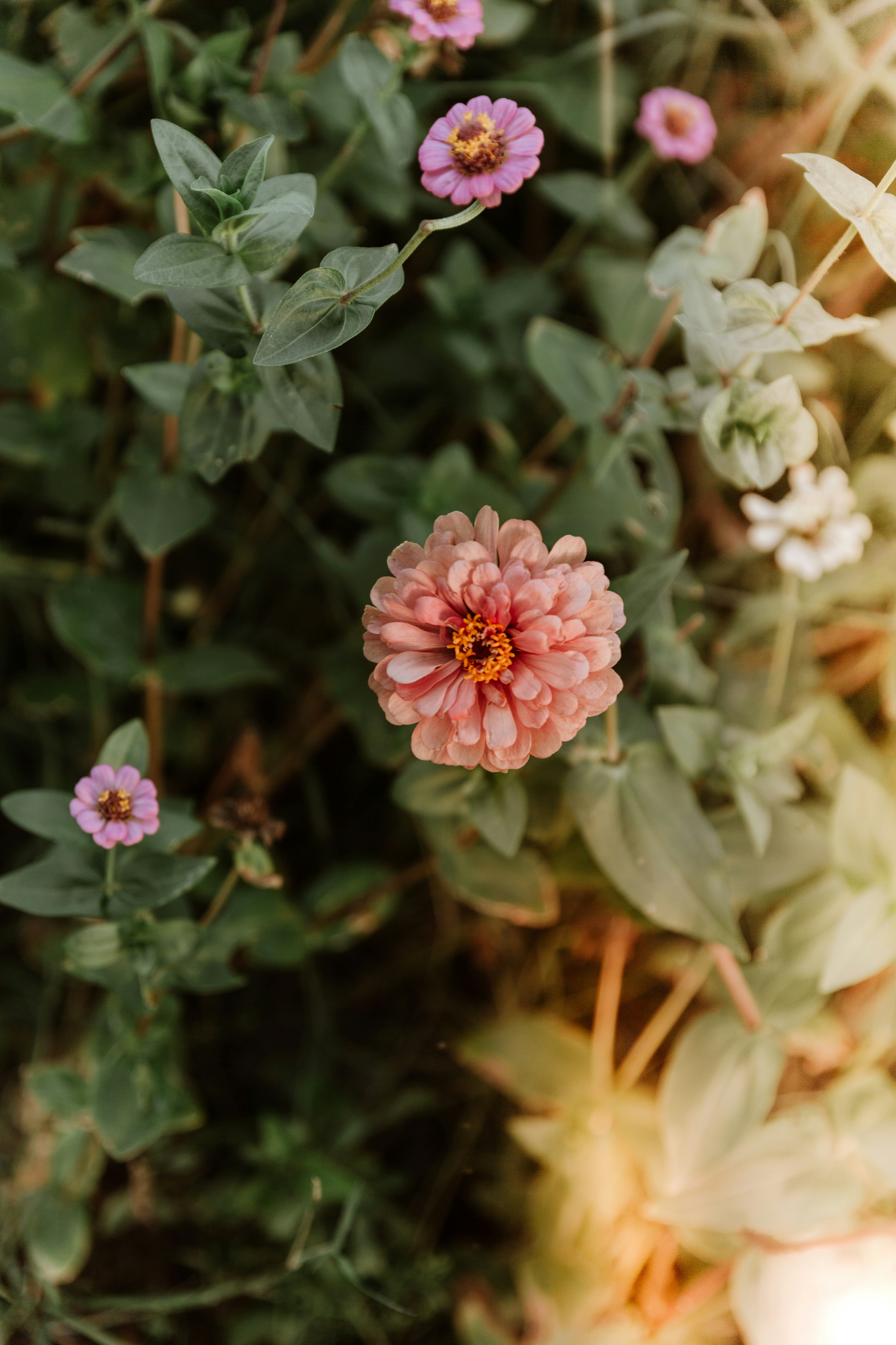 Photo by benignohoyuela