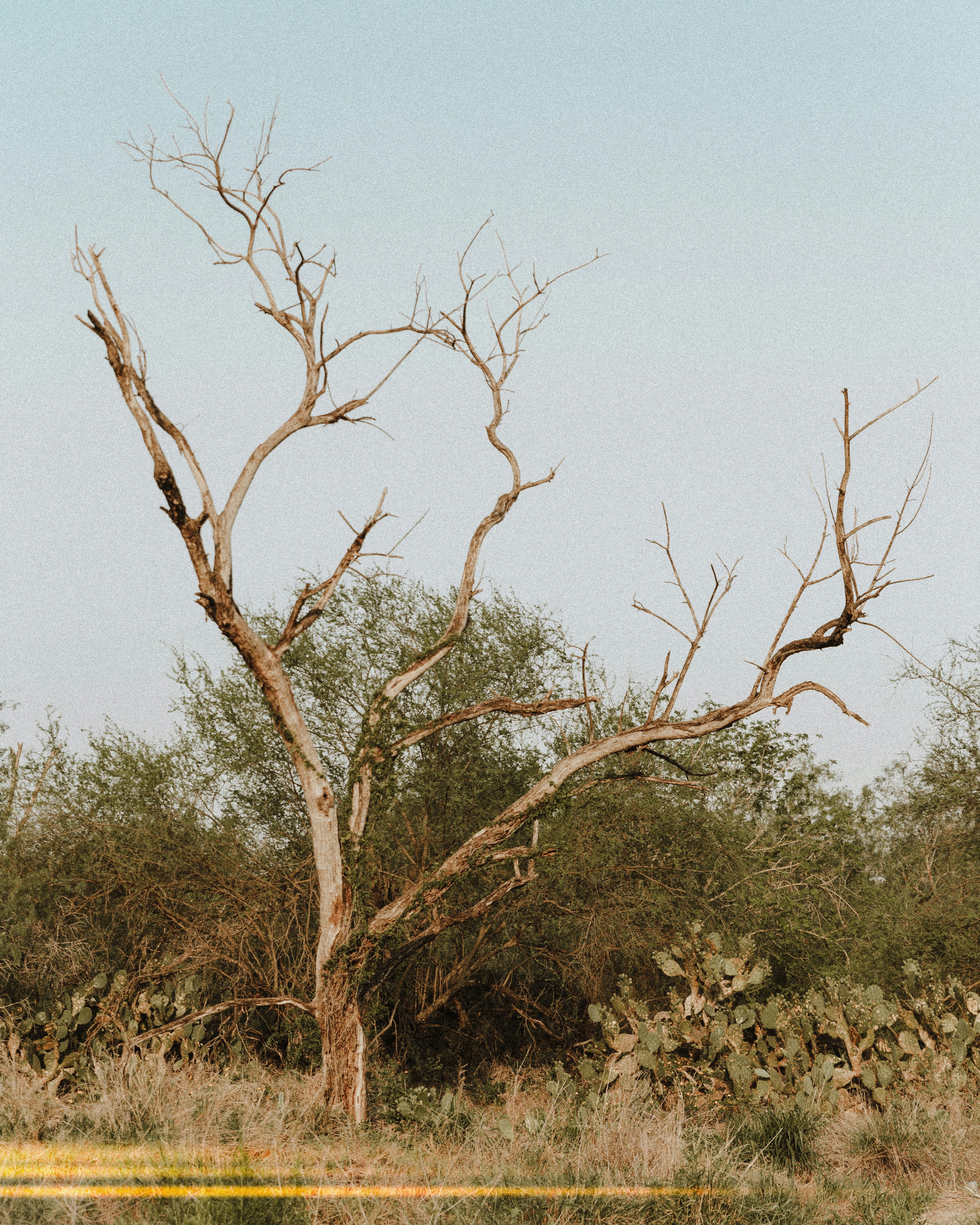 Photo by benignohoyuela