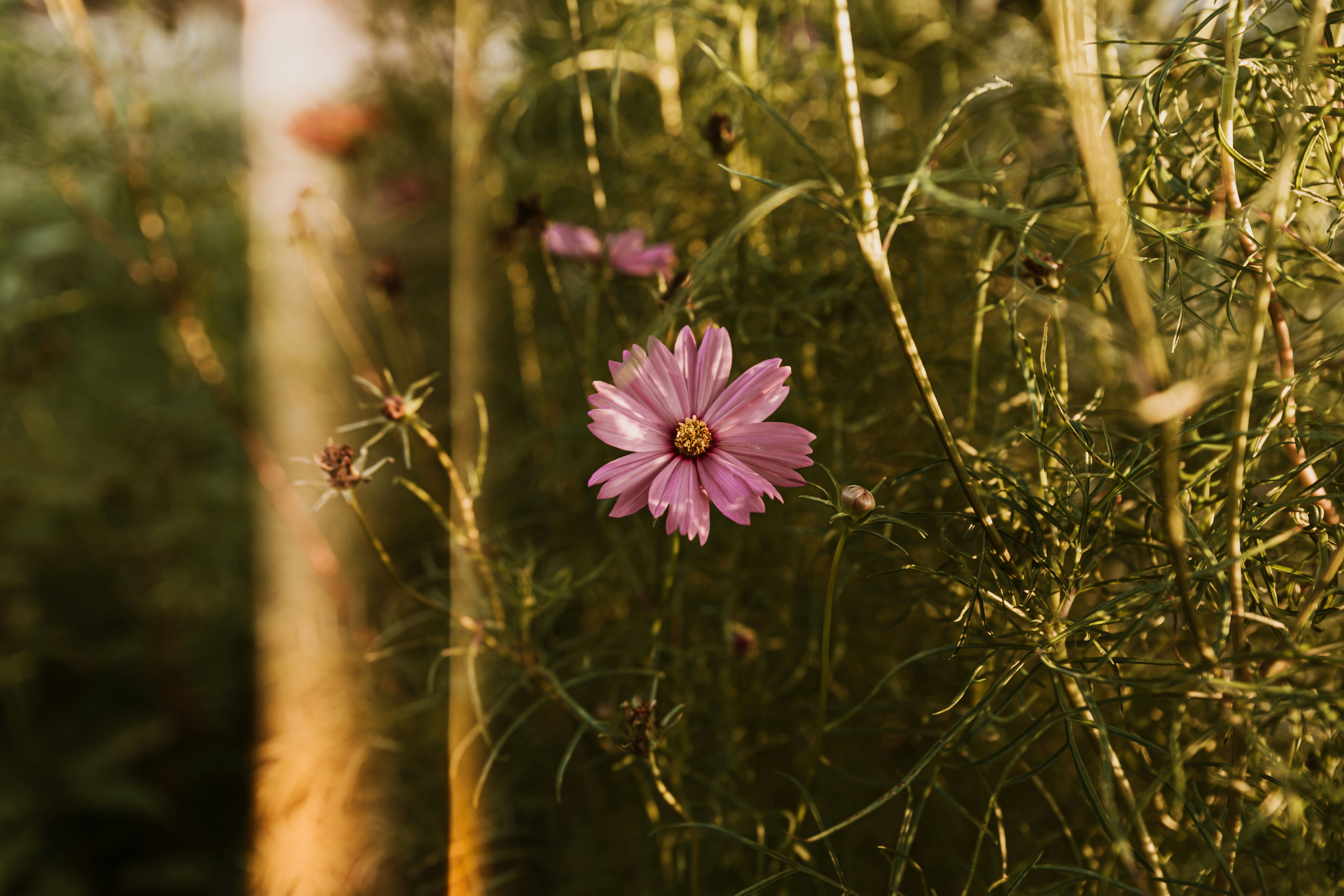 Photo by benignohoyuela