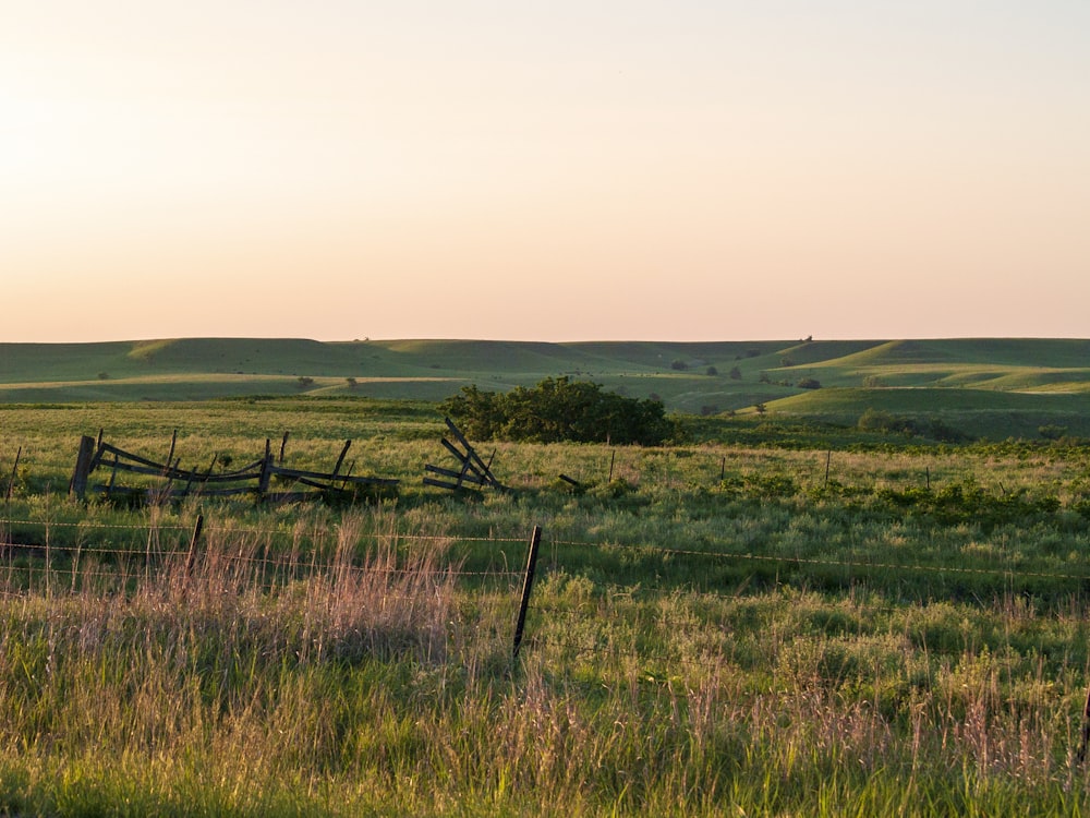 green grass field under white sky during daytime