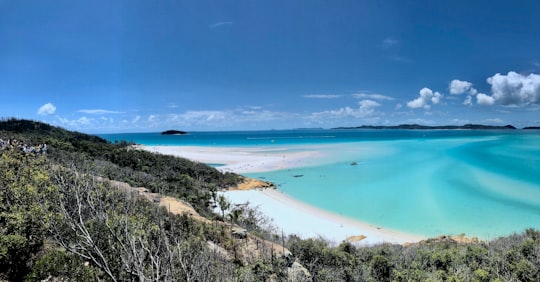 green trees near blue sea under blue sky during daytime in Hill Inlet Lookout Australia