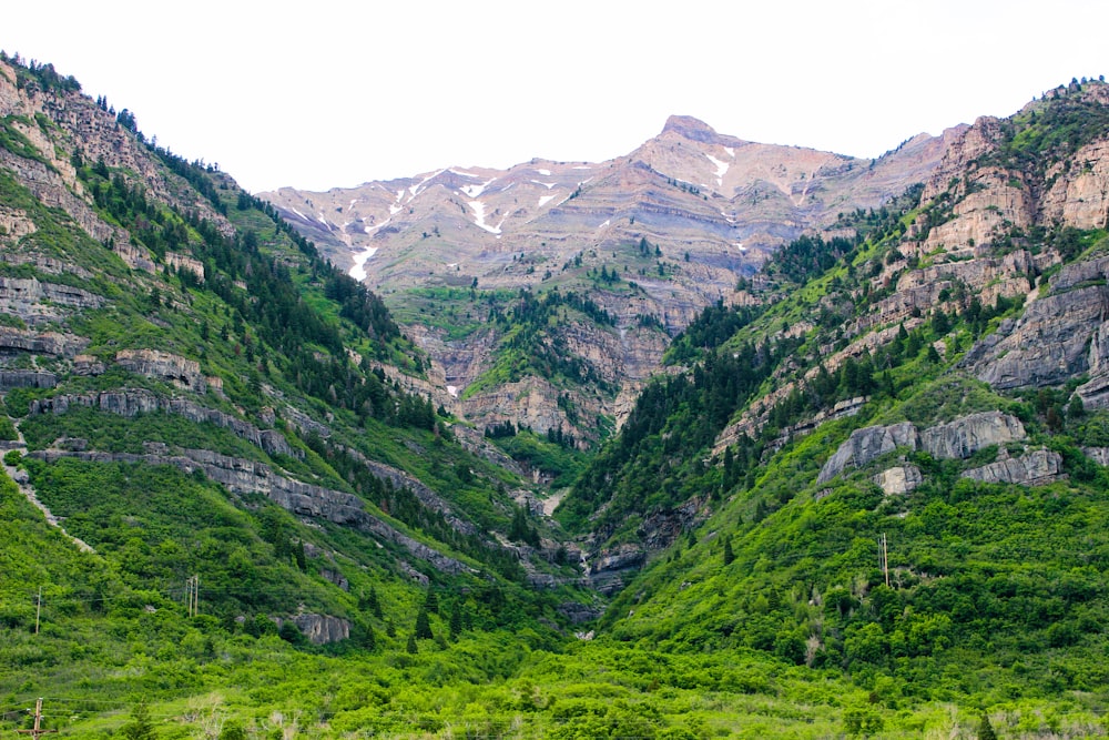 Grüne Berge tagsüber unter weißem Himmel