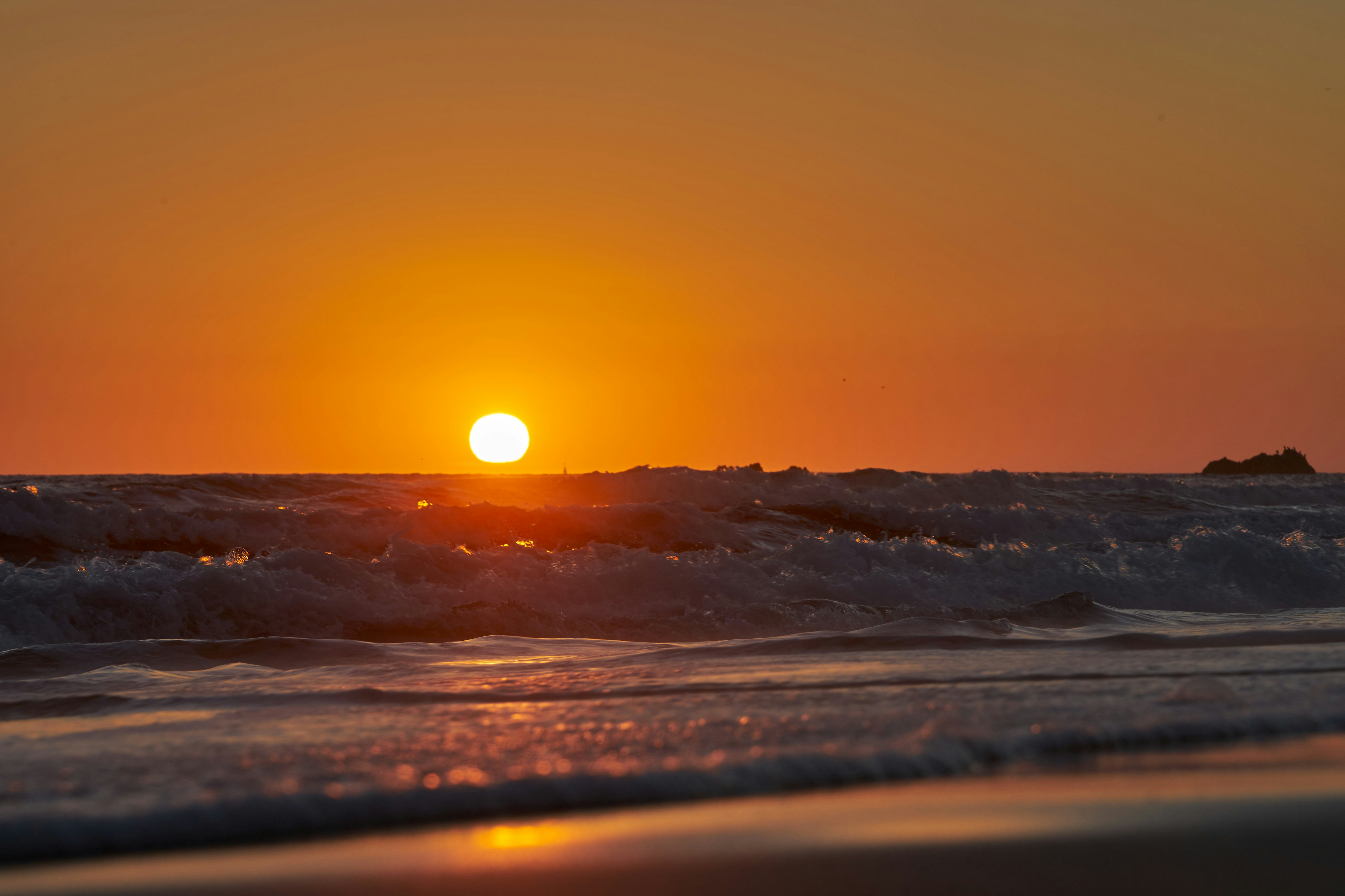 Photo by wolfgang_hasselmann