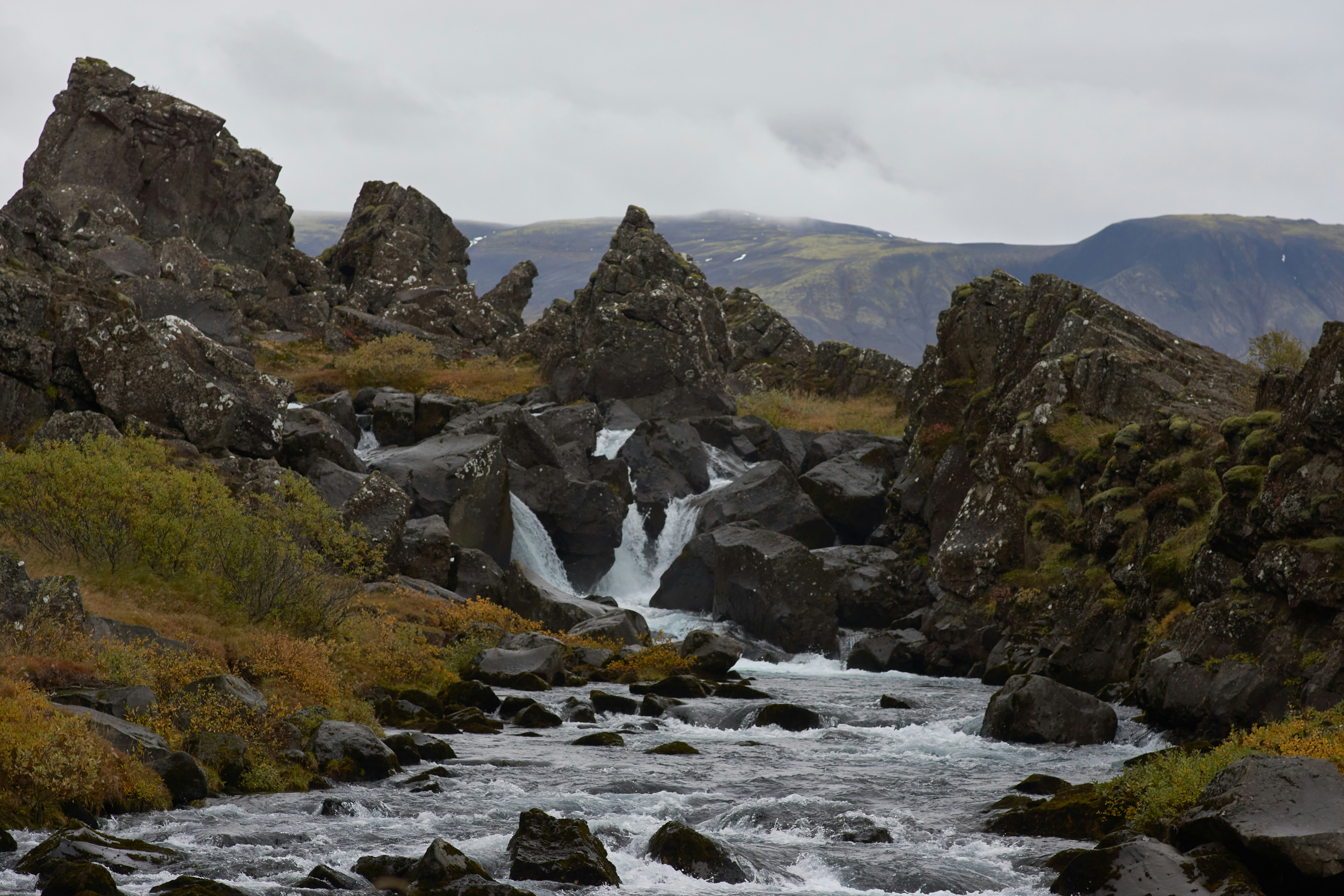 Photo by wolfgang_hasselmann