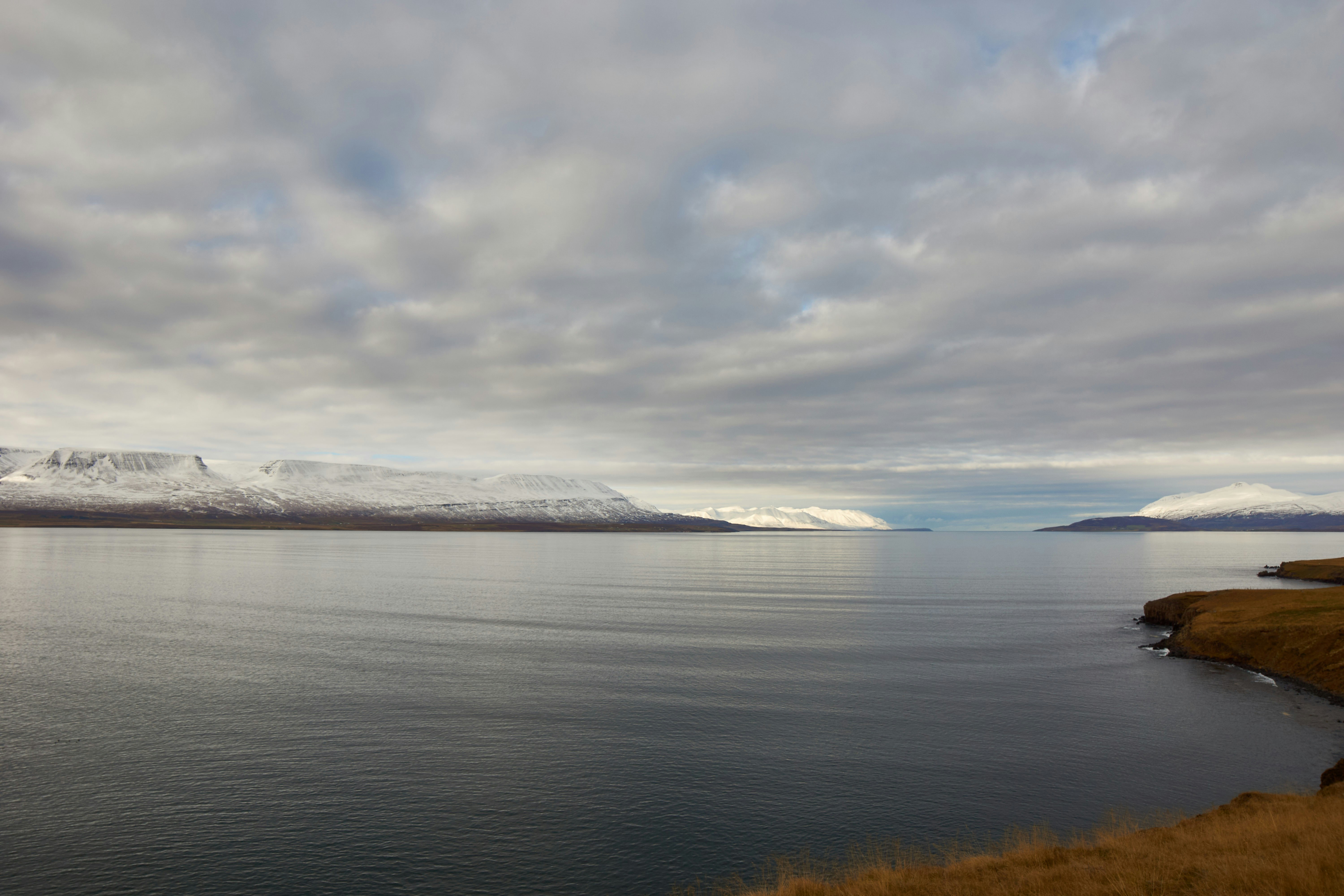 Photo by wolfgang_hasselmann