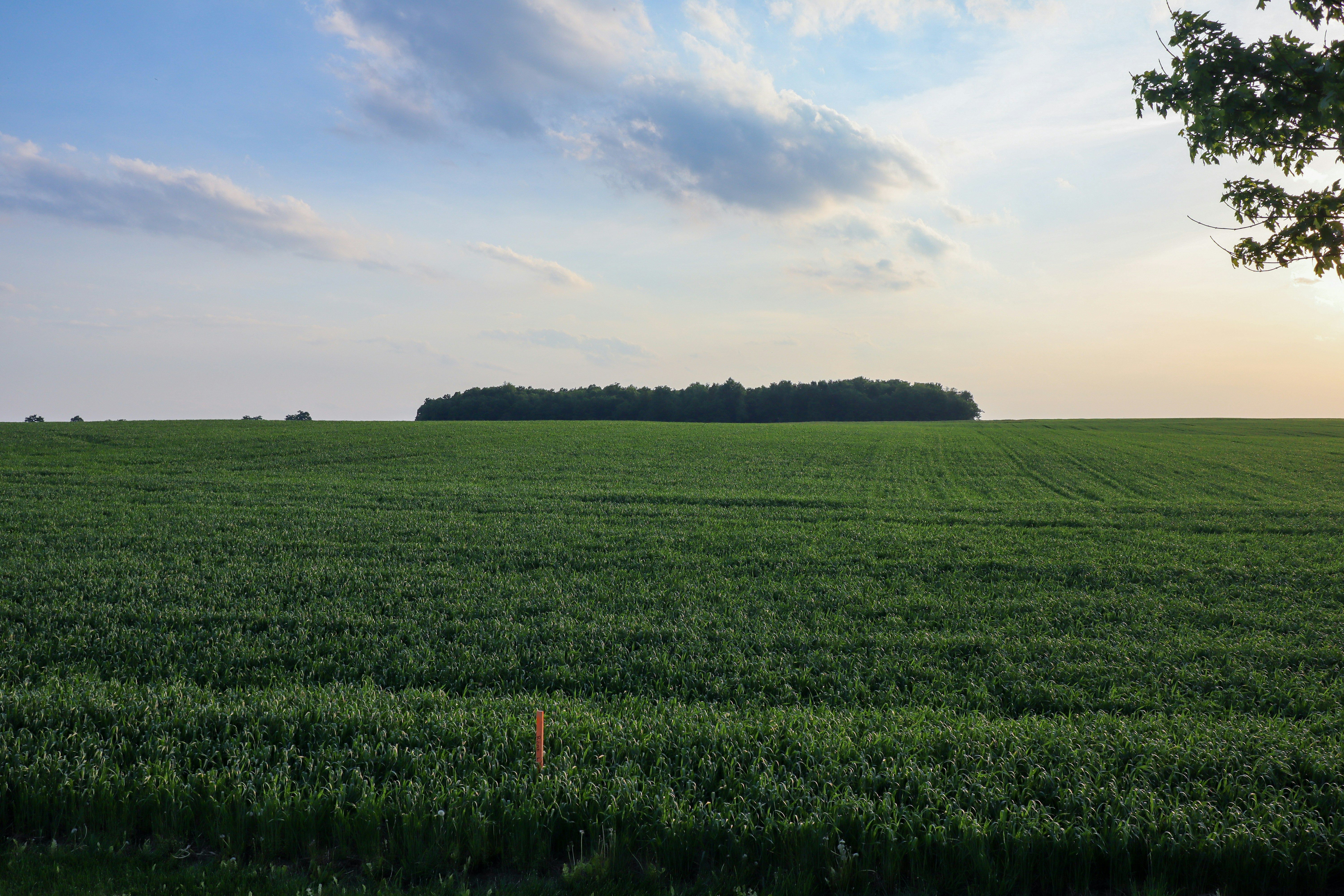 Photo by danreynolds