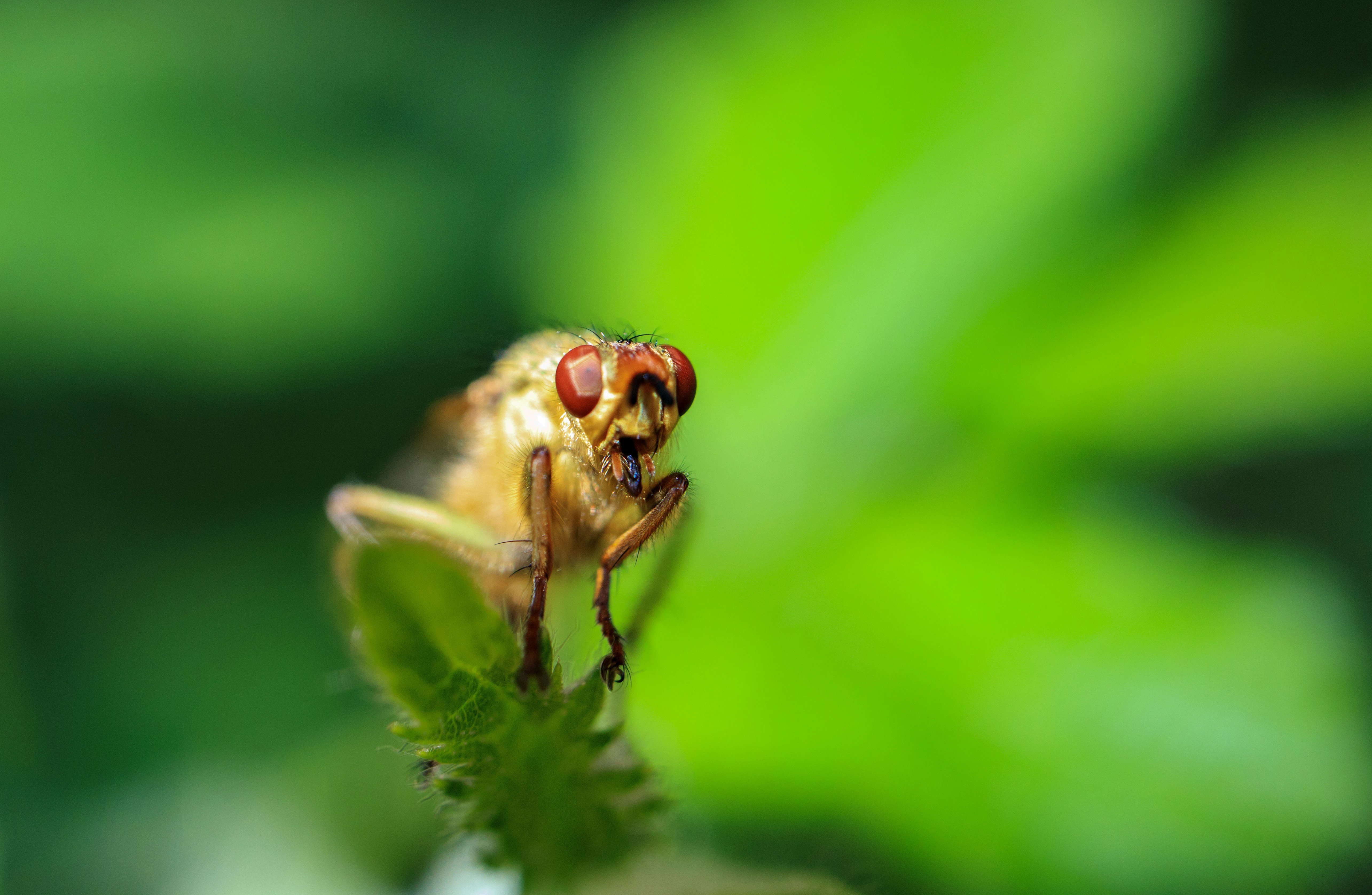 Photo by grievek1610begur