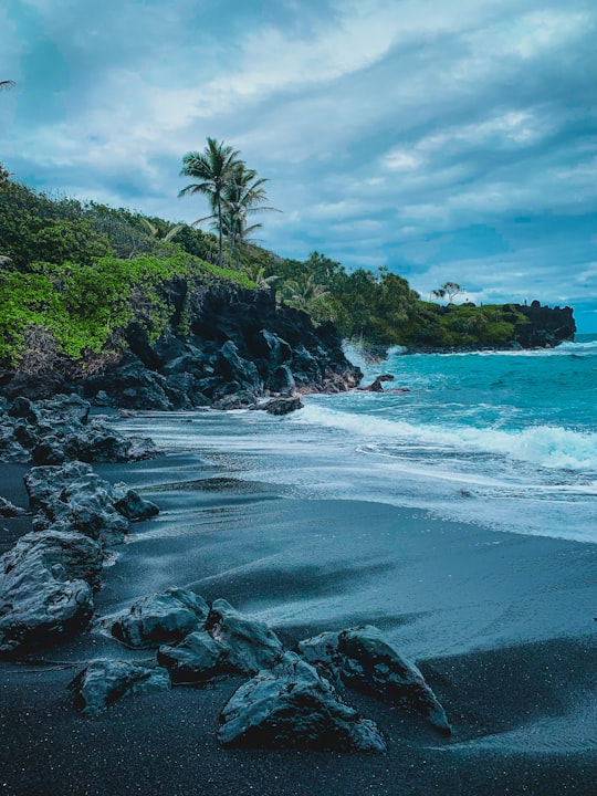 green trees on rocky shore during daytime in Maui United States