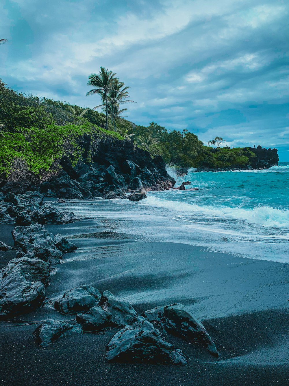 green trees on rocky shore during daytime