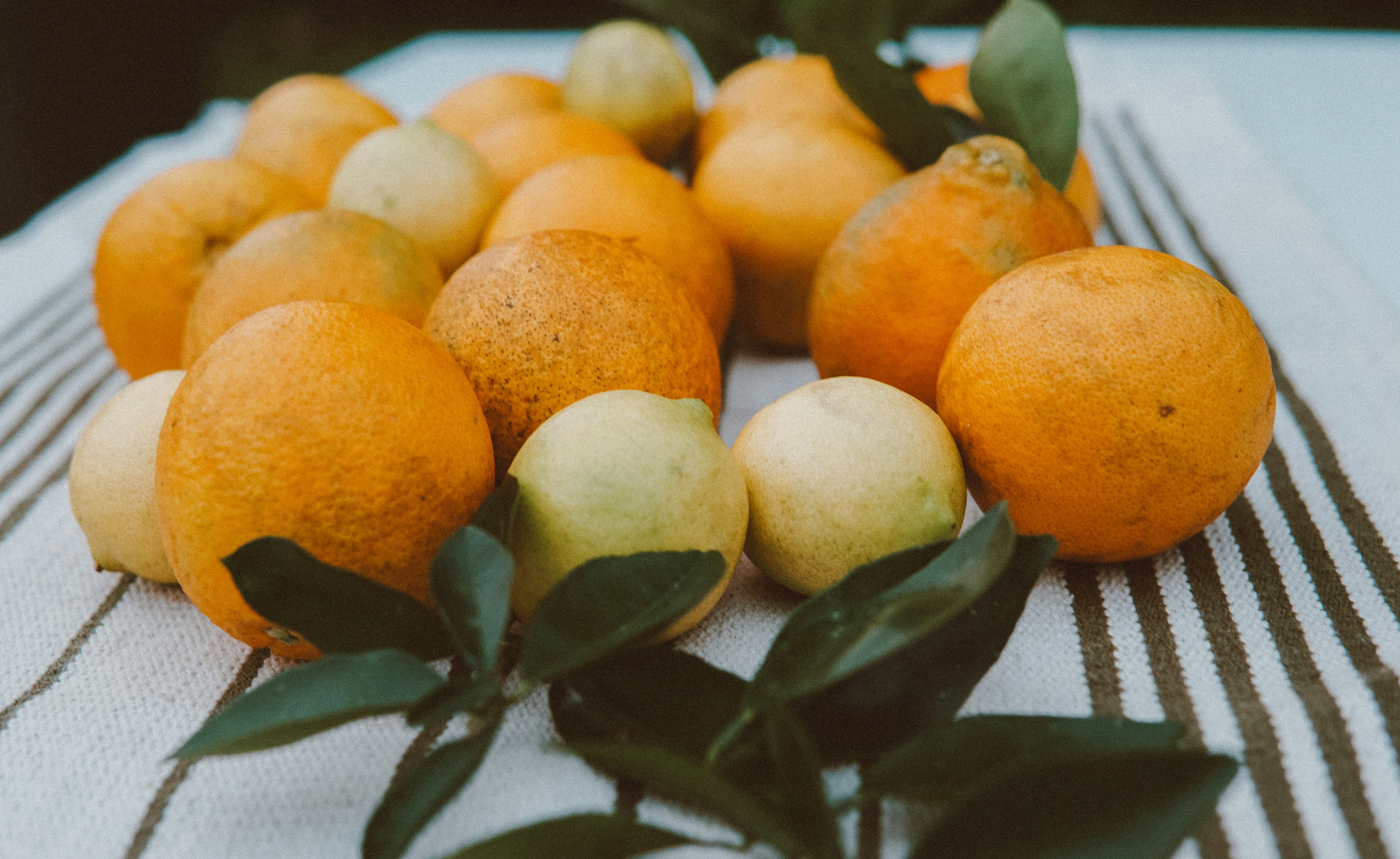 Photo by elletakesphotos