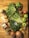 A vibrant bowl of fresh fruits and vegetables on a wooden table.