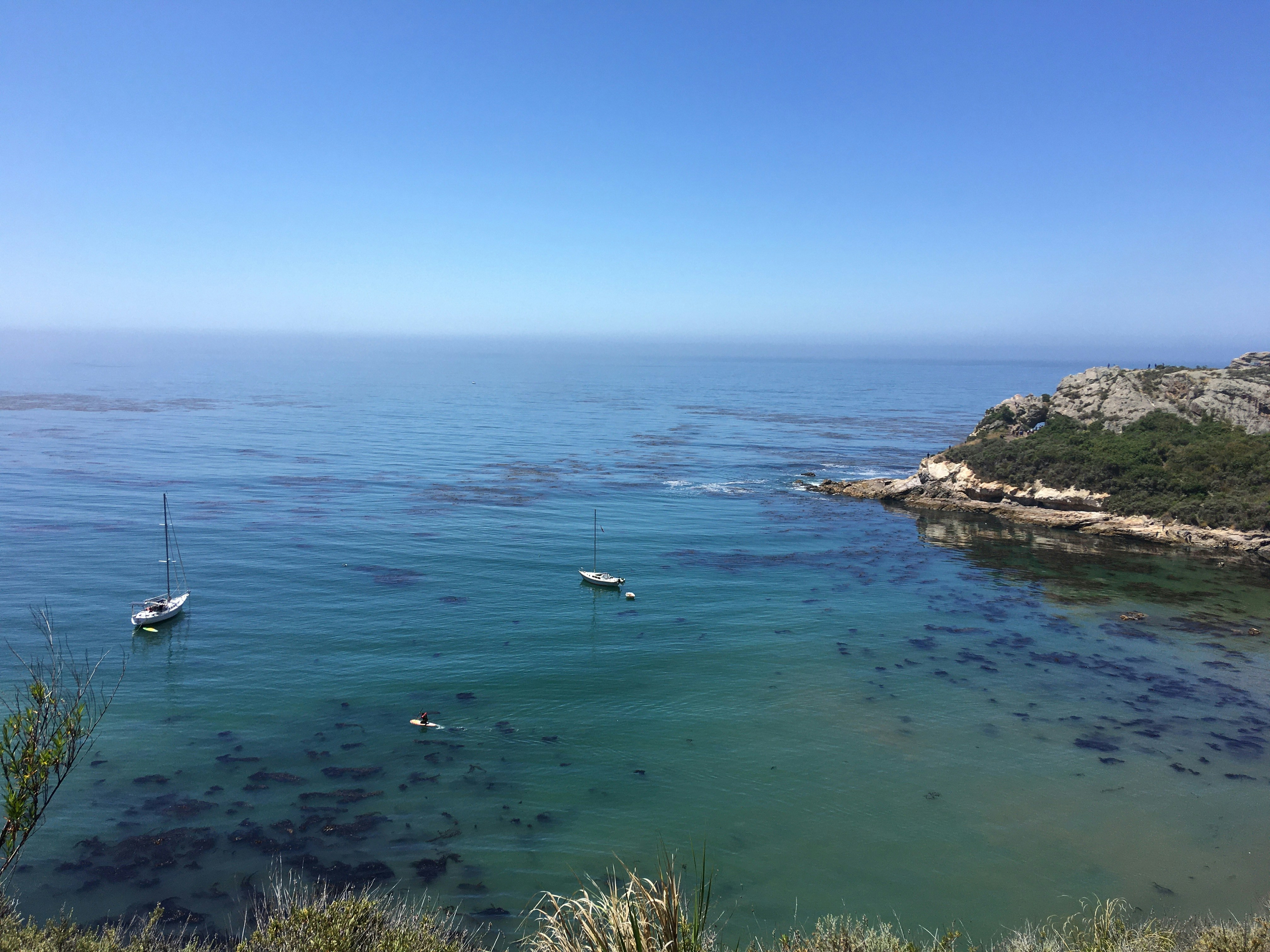 Photo by maiquynhtruong