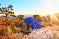 A tranquil tent surrounded by desert flora under a vibrant sunset sky.
