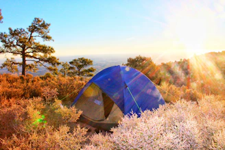 A tranquil tent surrounded by desert flora under a vibrant sunset sky.