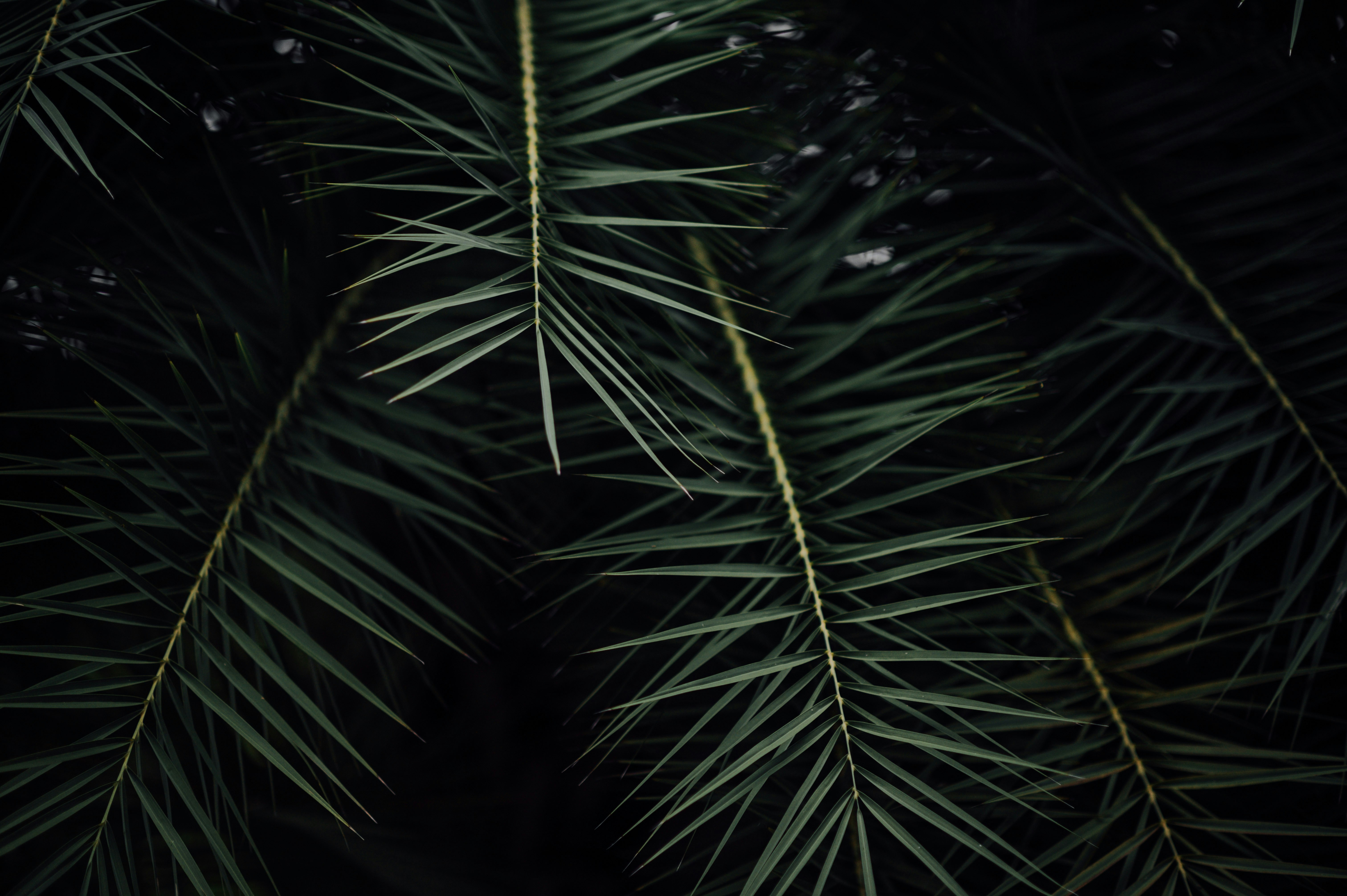 Photo by chuttersnap