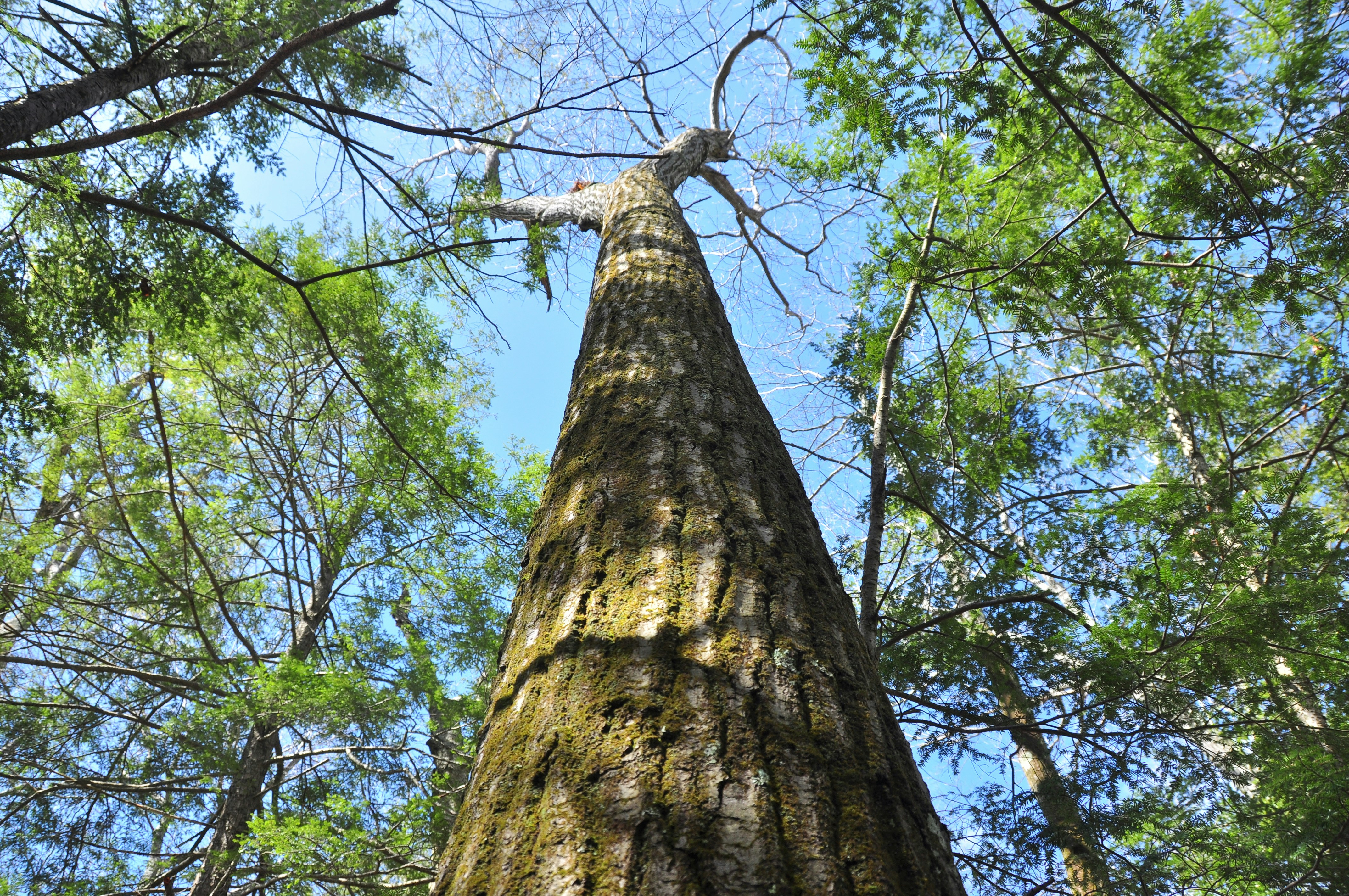 Photo by idonothingbutlove