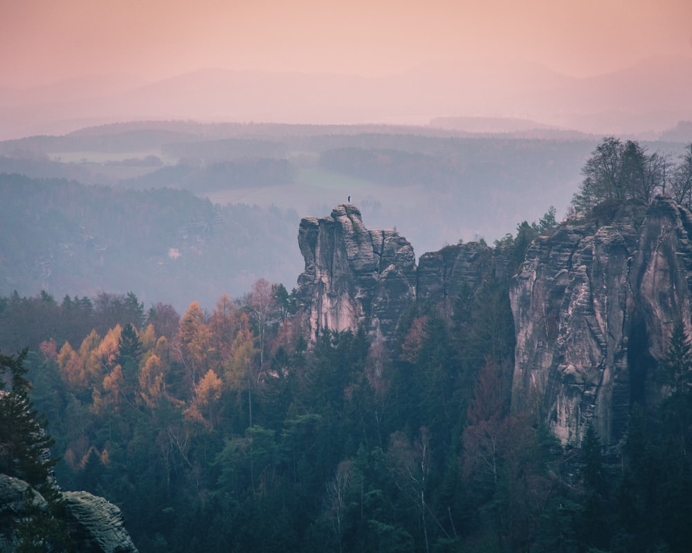 brown rocky mountain with green trees during daytime