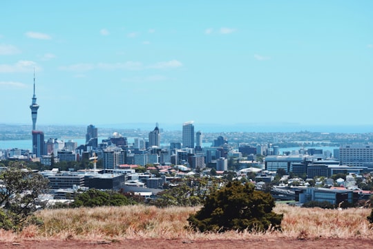 city skyline under blue sky during daytime in Auckland New Zealand