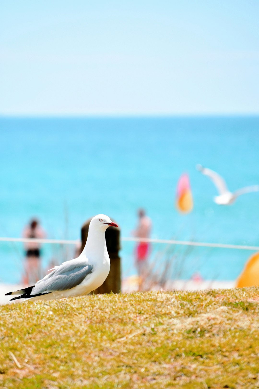 Coast photo spot Mount Maunganui New Zealand