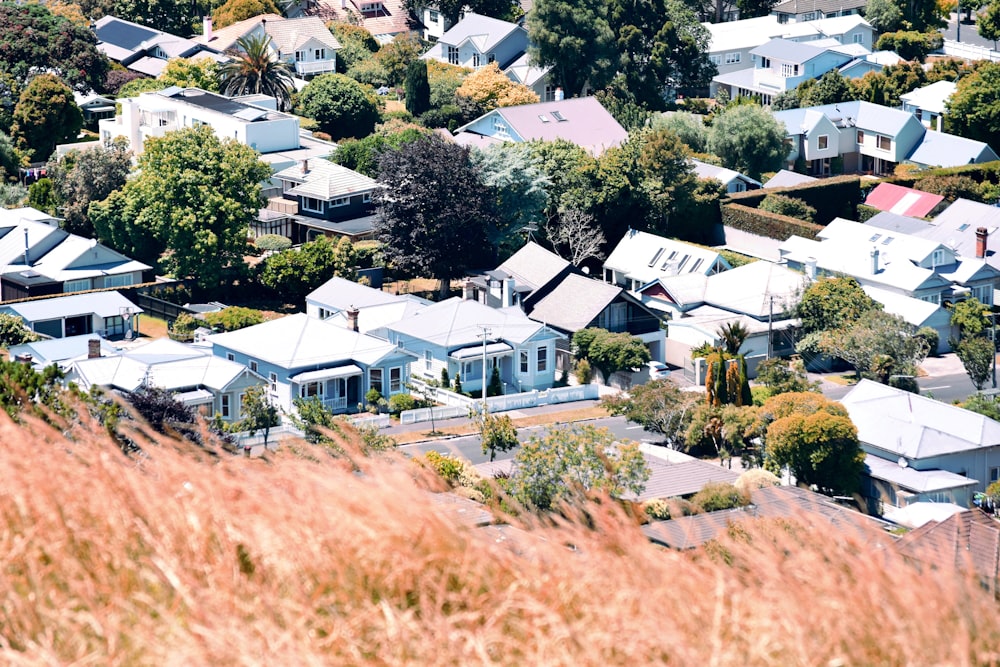 white and black houses near green trees during daytime