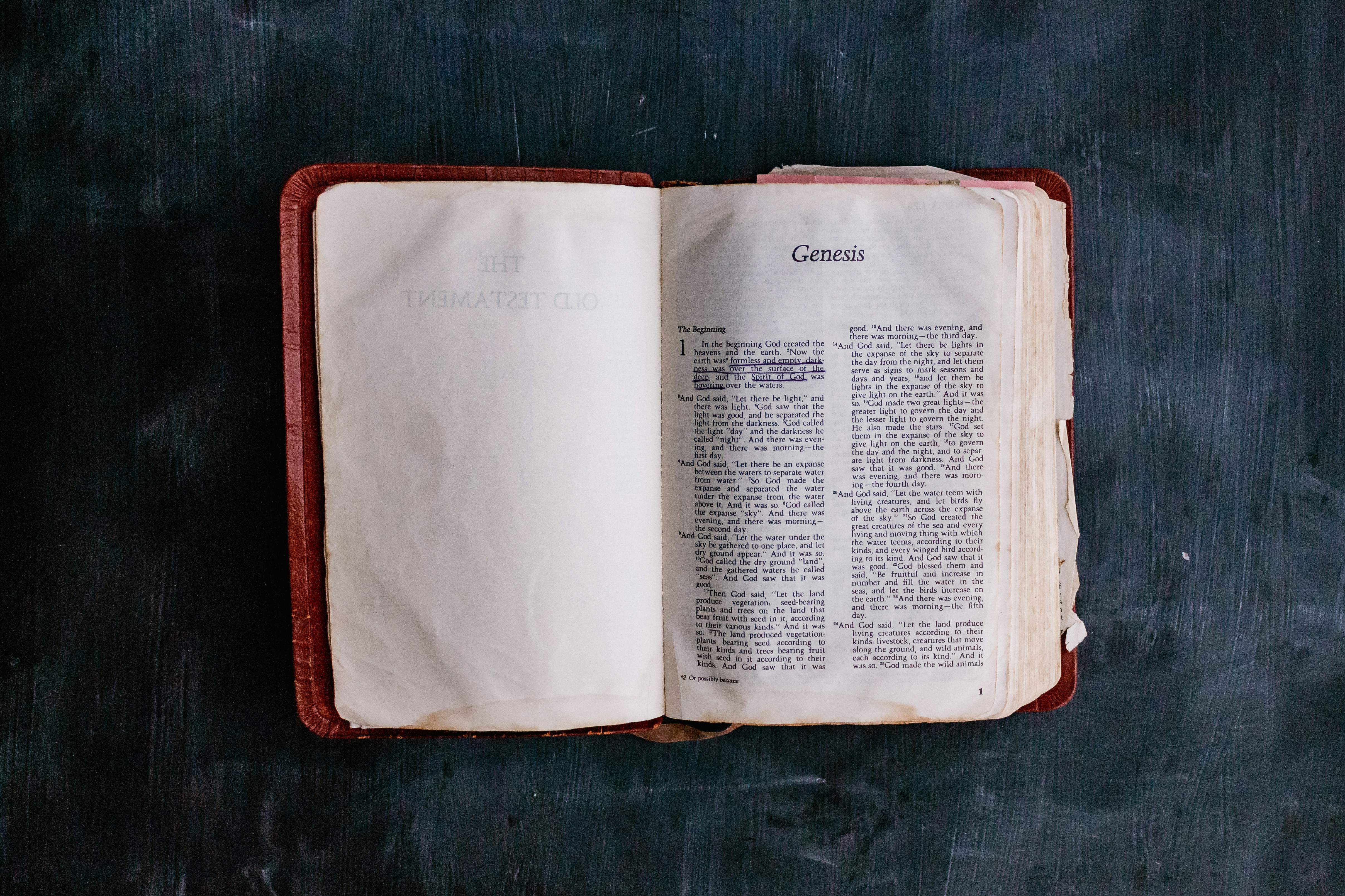 Photo by sincerelymedia