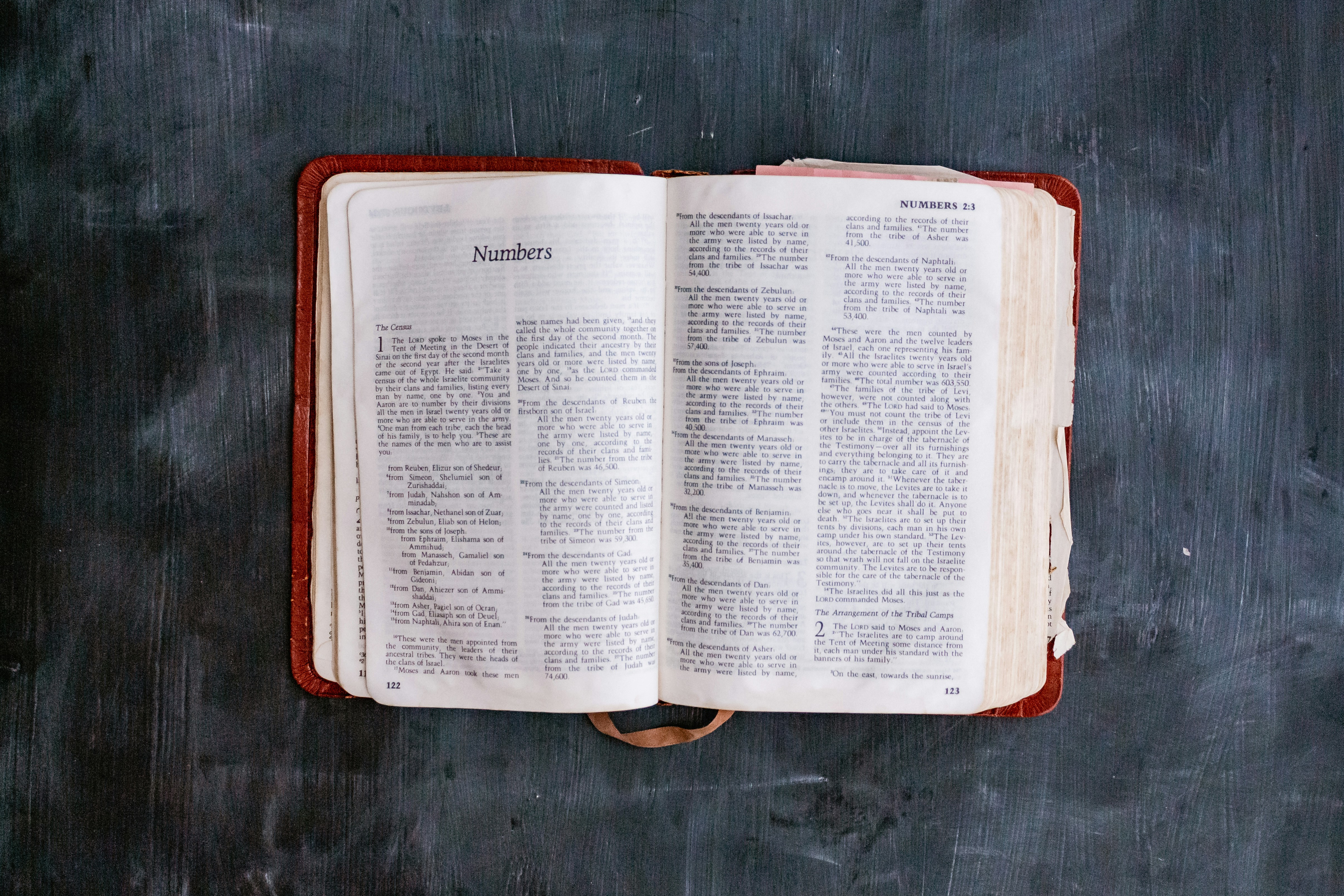 Photo by sincerelymedia