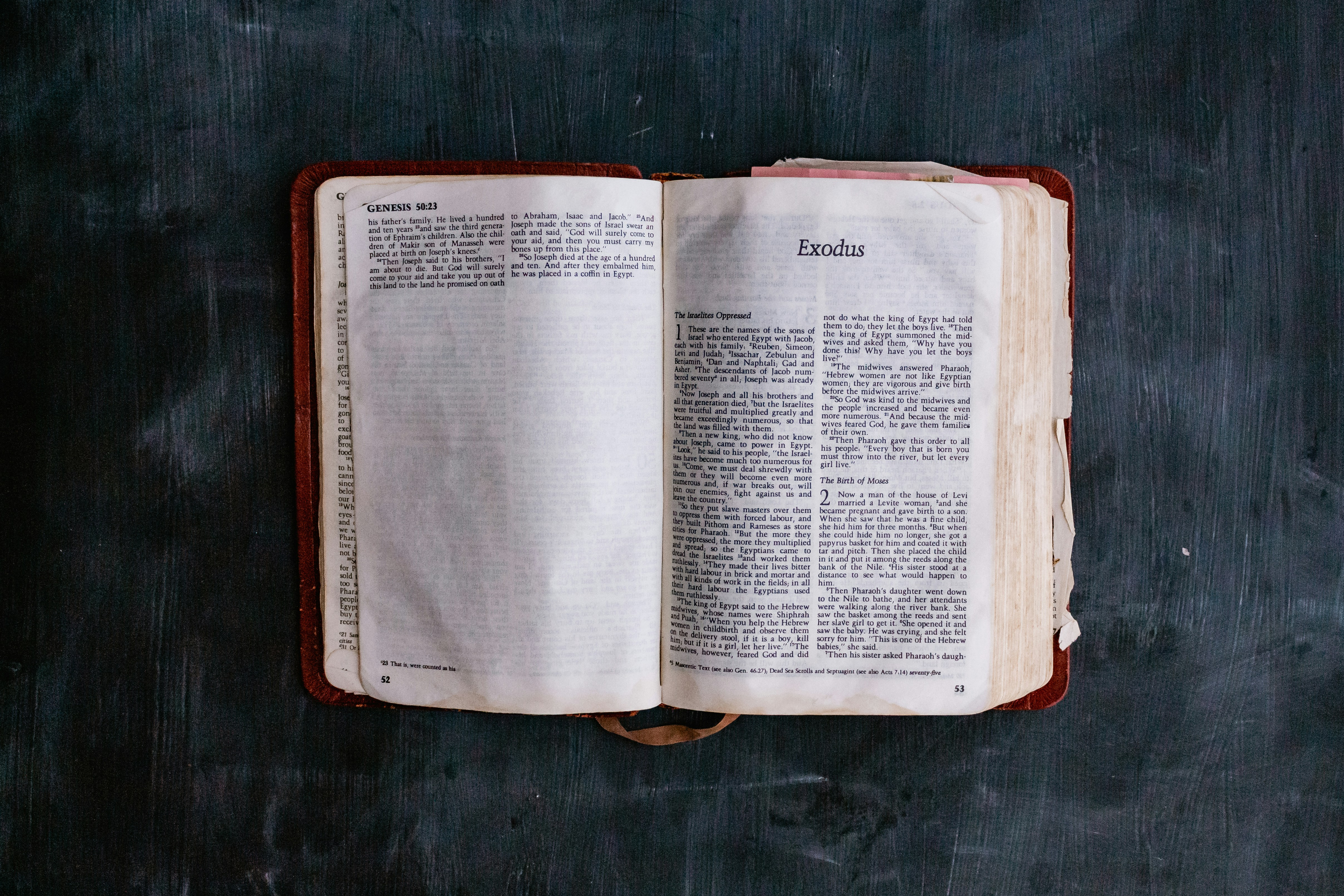 Photo by sincerelymedia