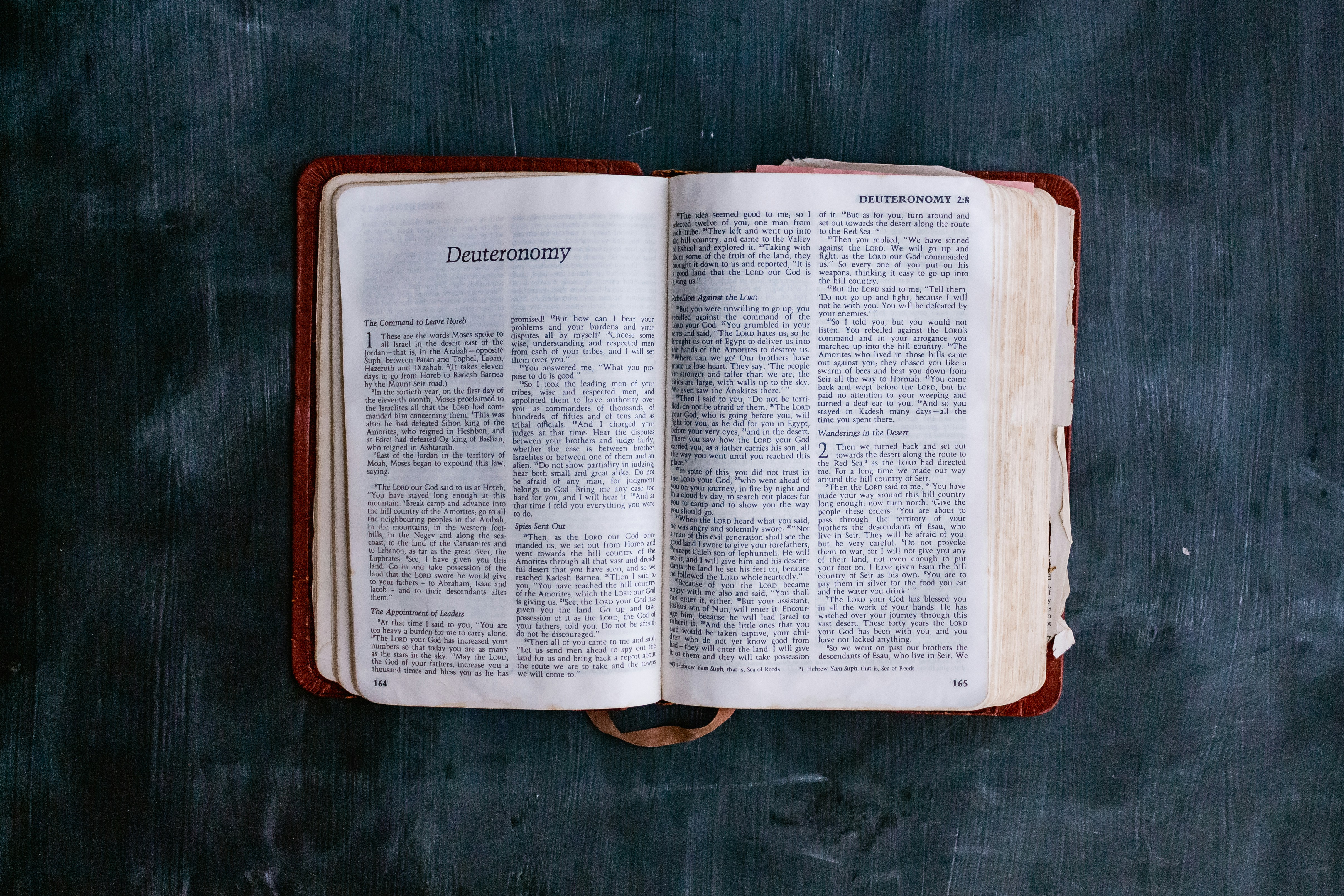 Photo by sincerelymedia