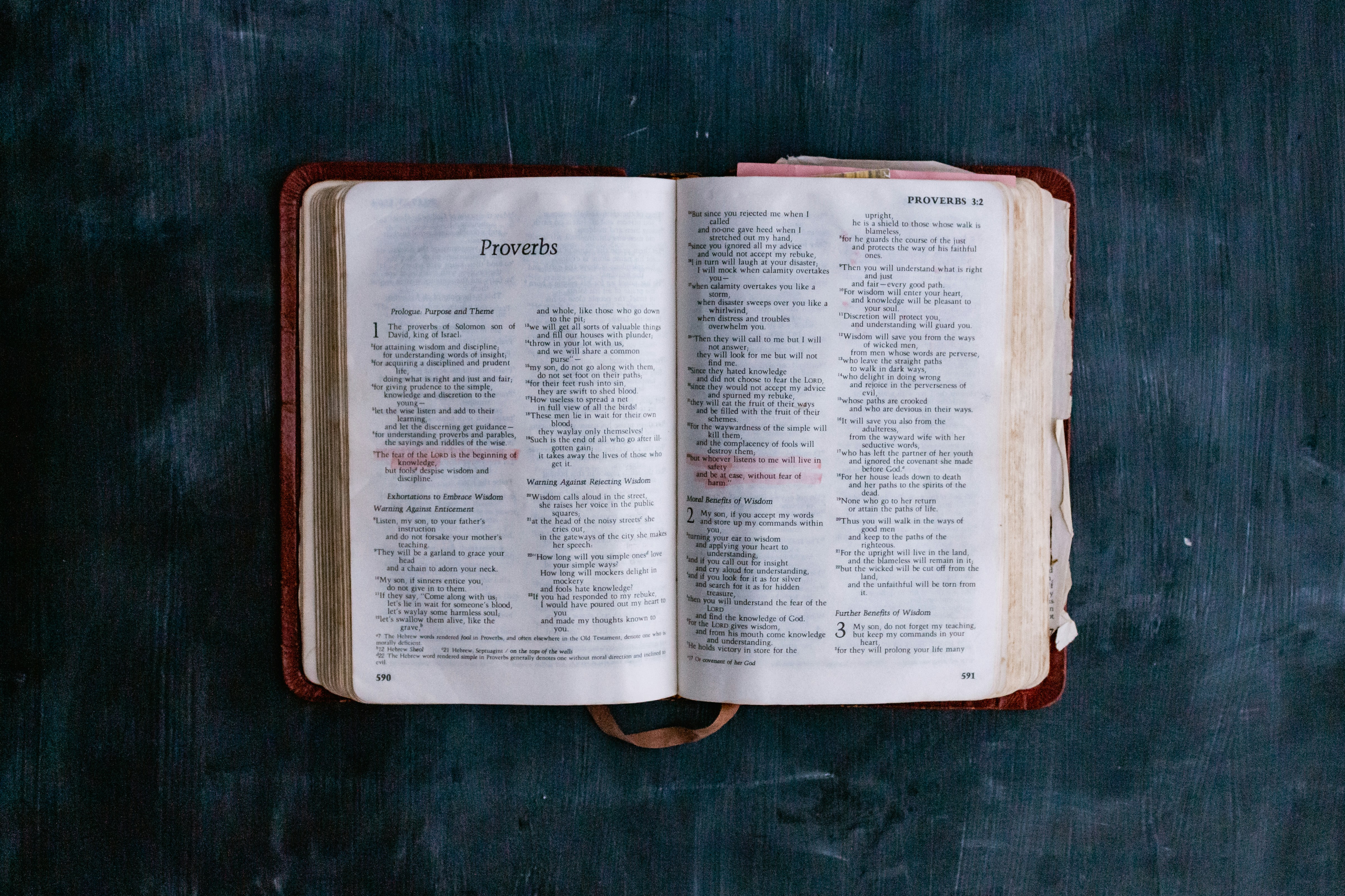 Photo by sincerelymedia