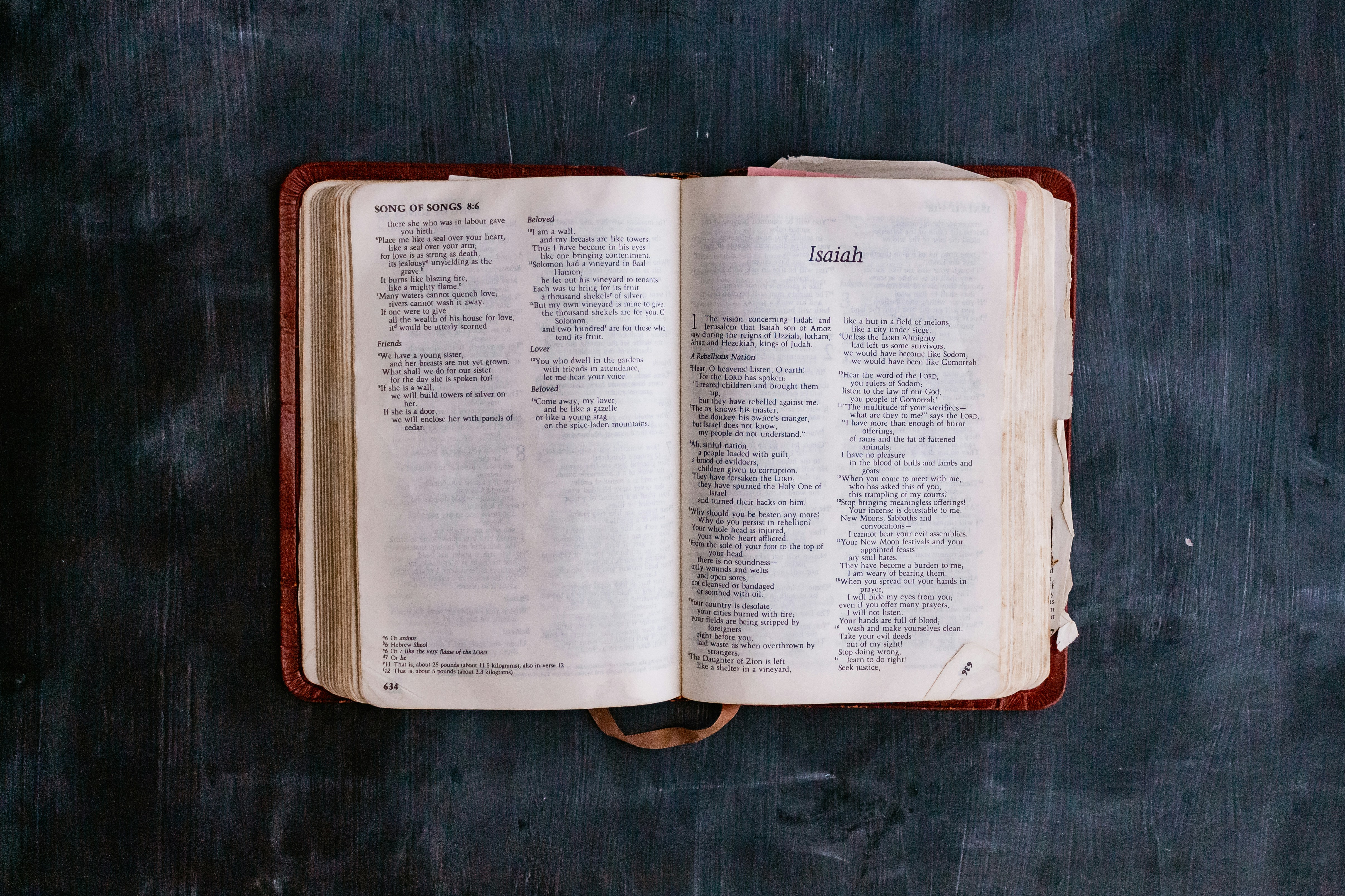 Photo by sincerelymedia