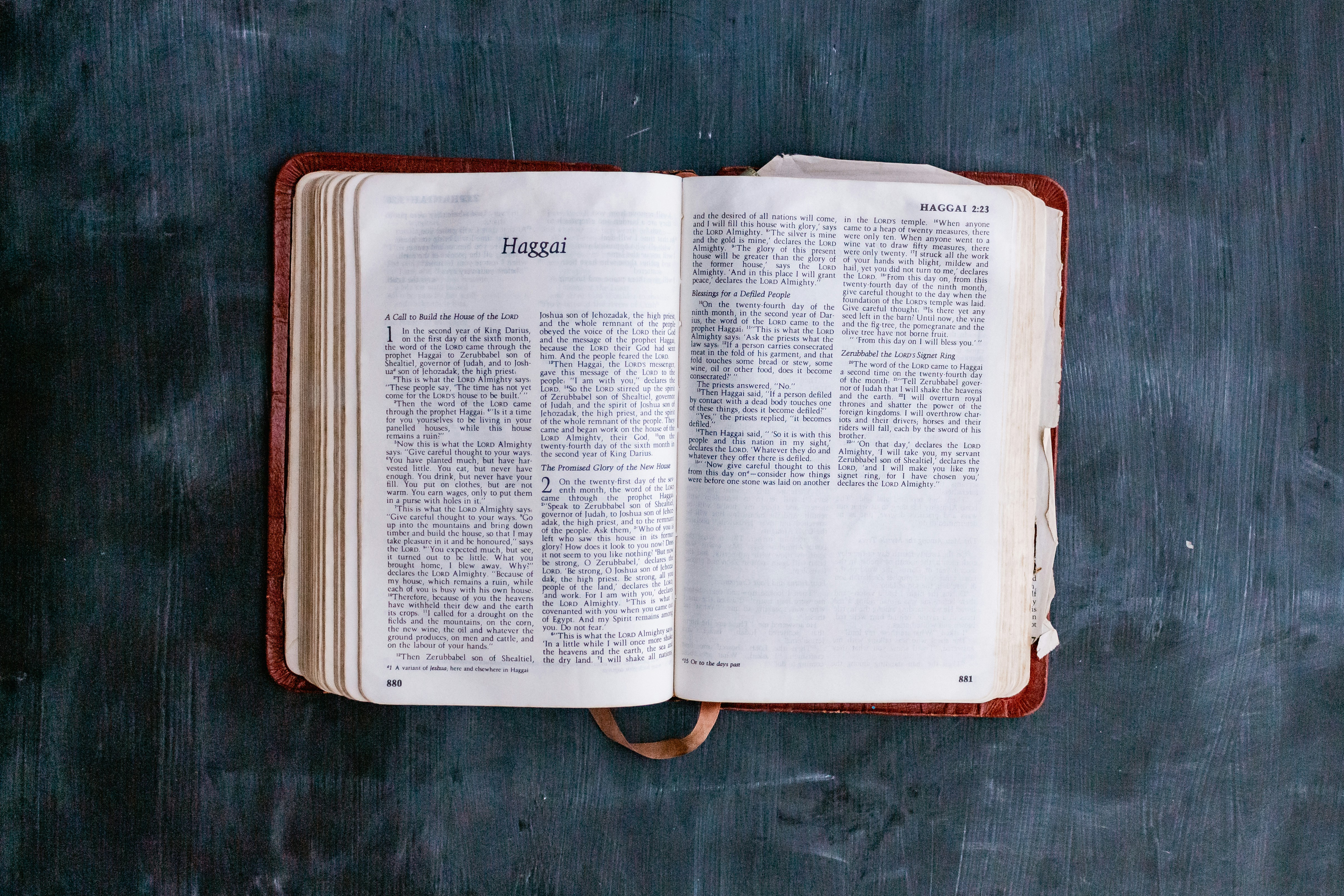 Photo by sincerelymedia