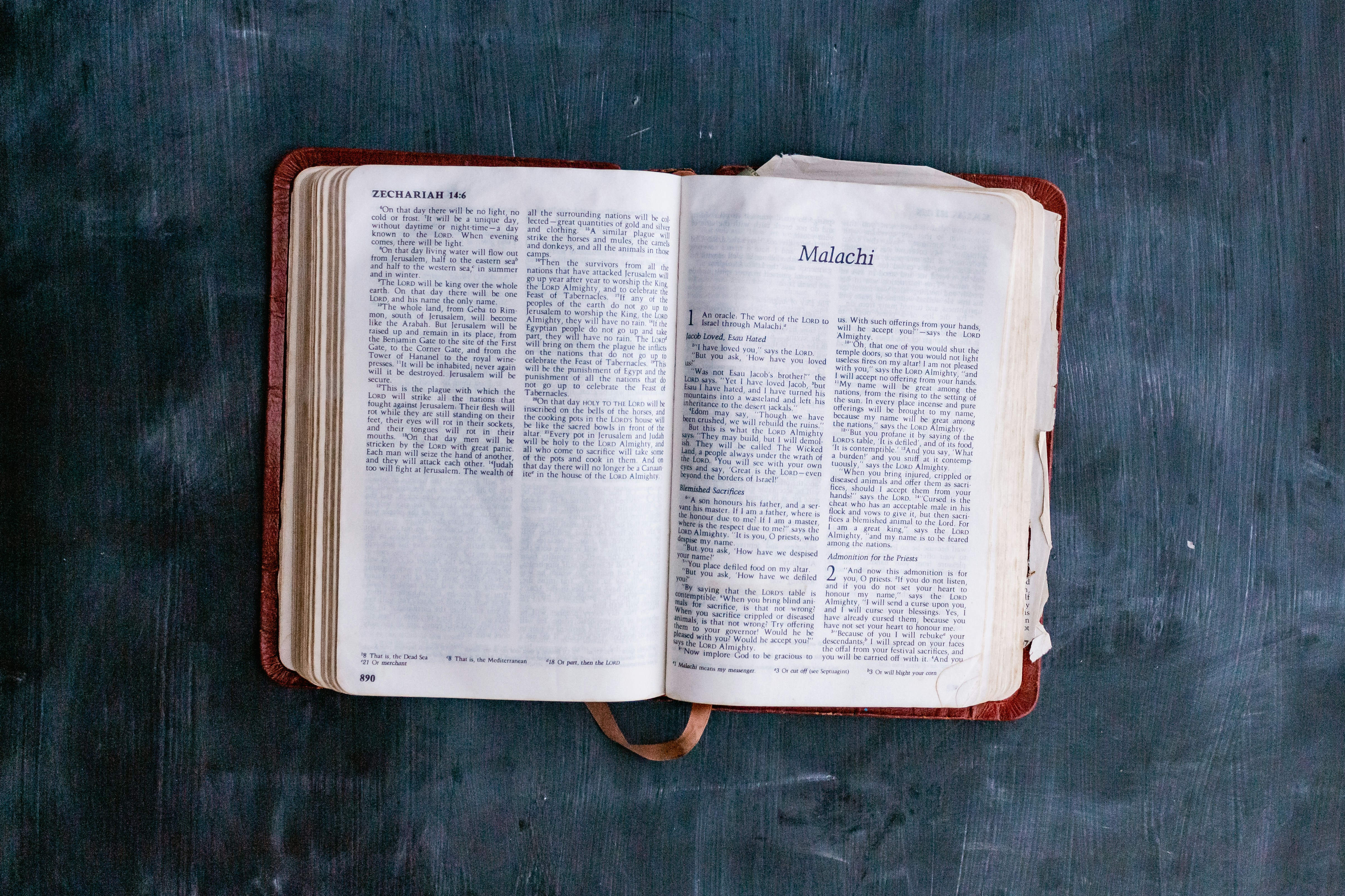 Photo by sincerelymedia