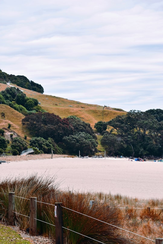 green and brown mountain beside body of water during daytime in Mount Maunganui New Zealand
