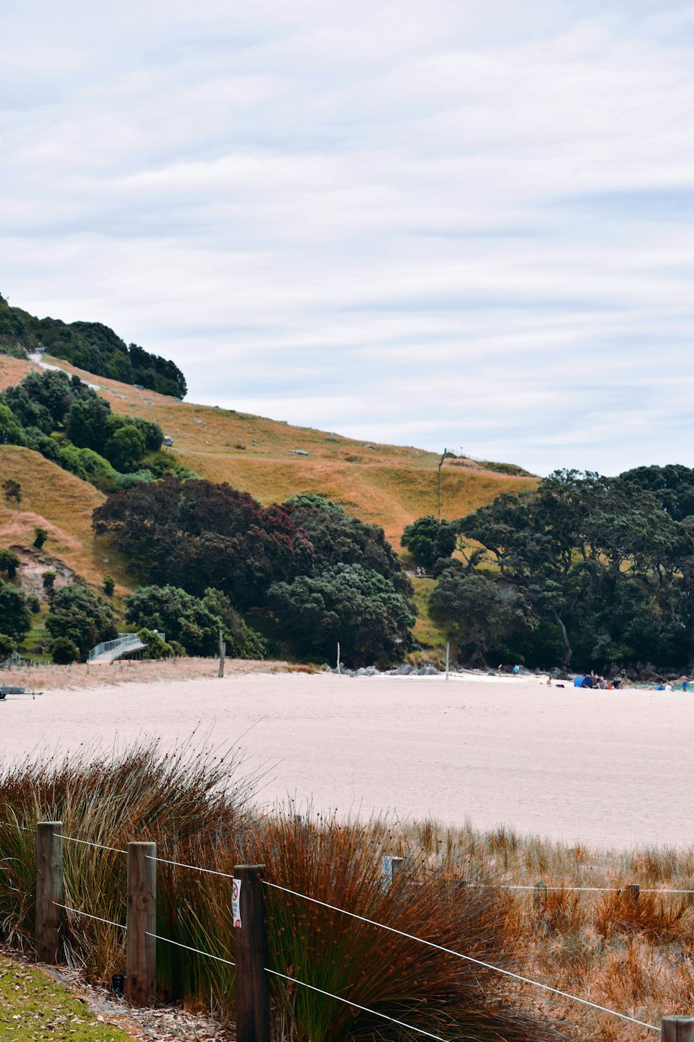 green and brown mountain beside body of water during daytime