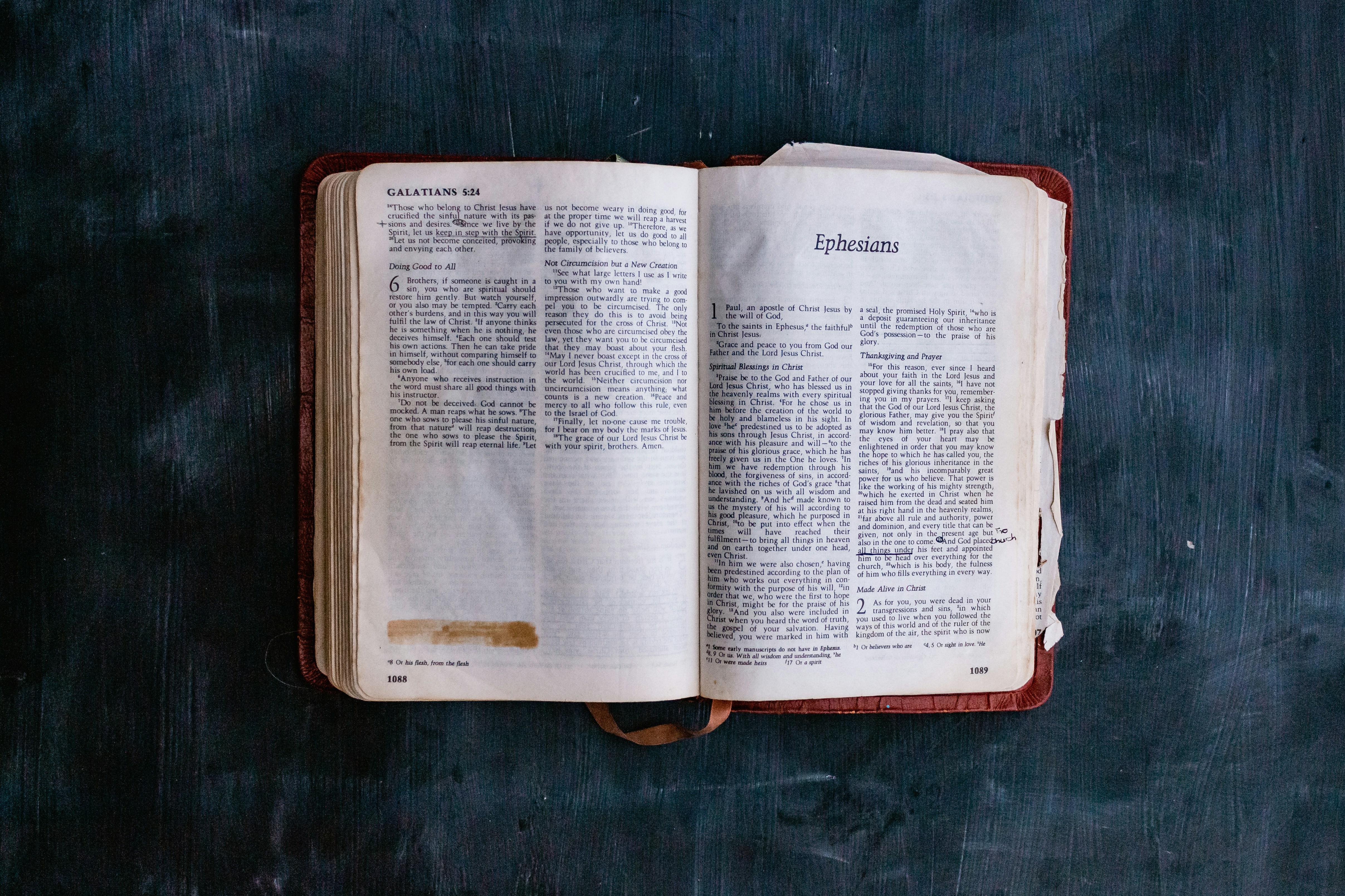 Photo by sincerelymedia