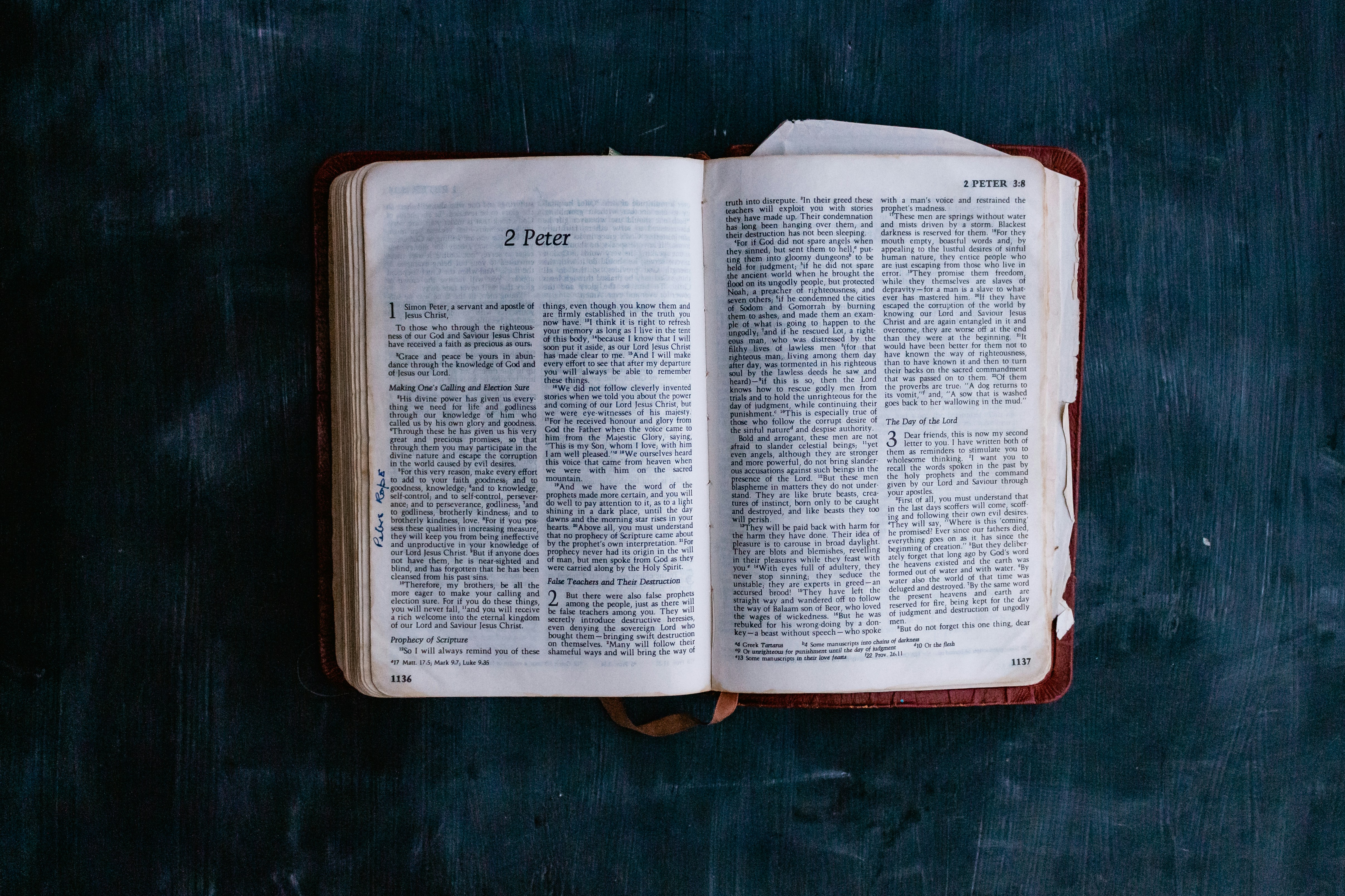 Photo by sincerelymedia