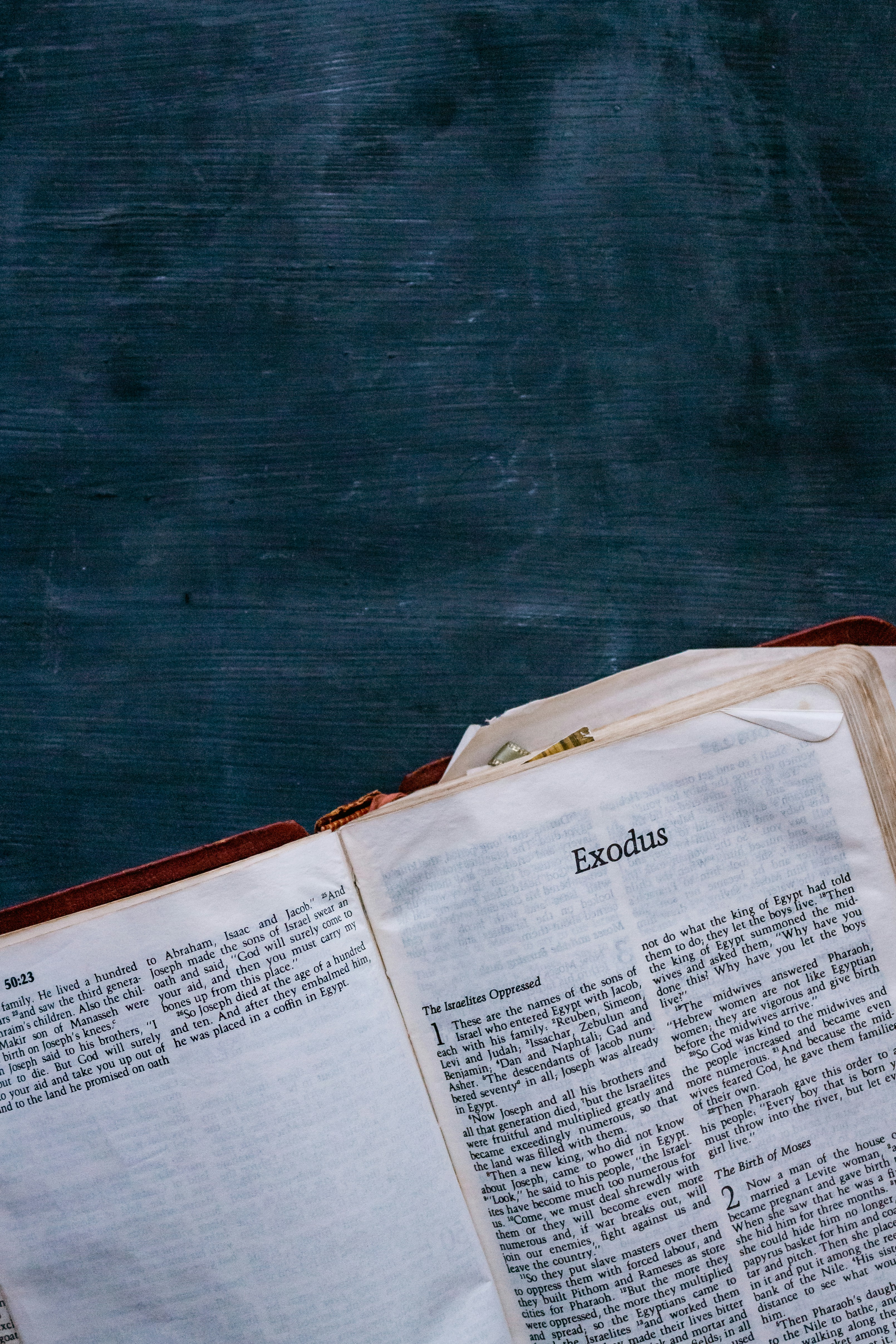 Photo by sincerelymedia