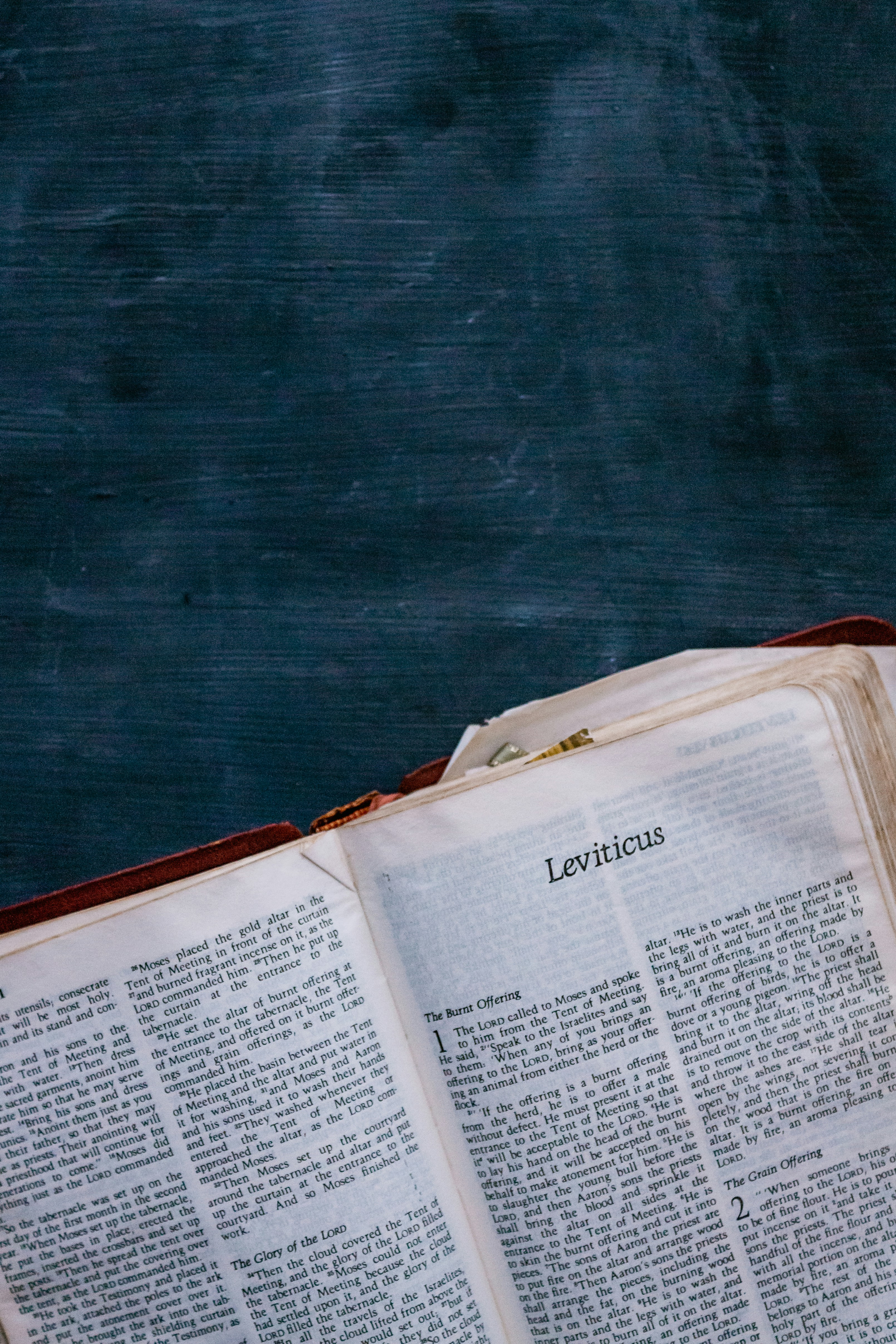 Photo by sincerelymedia