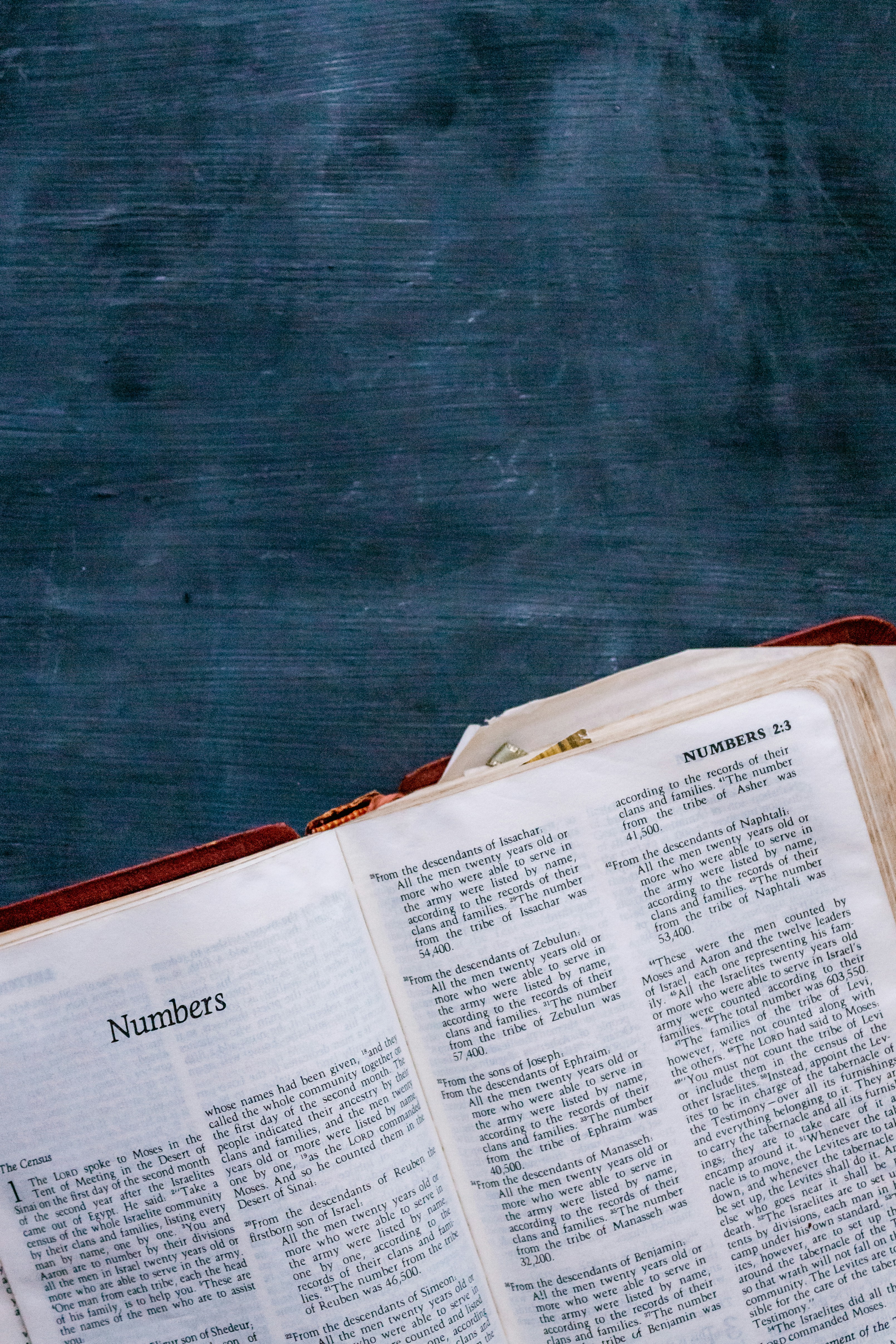 Photo by sincerelymedia