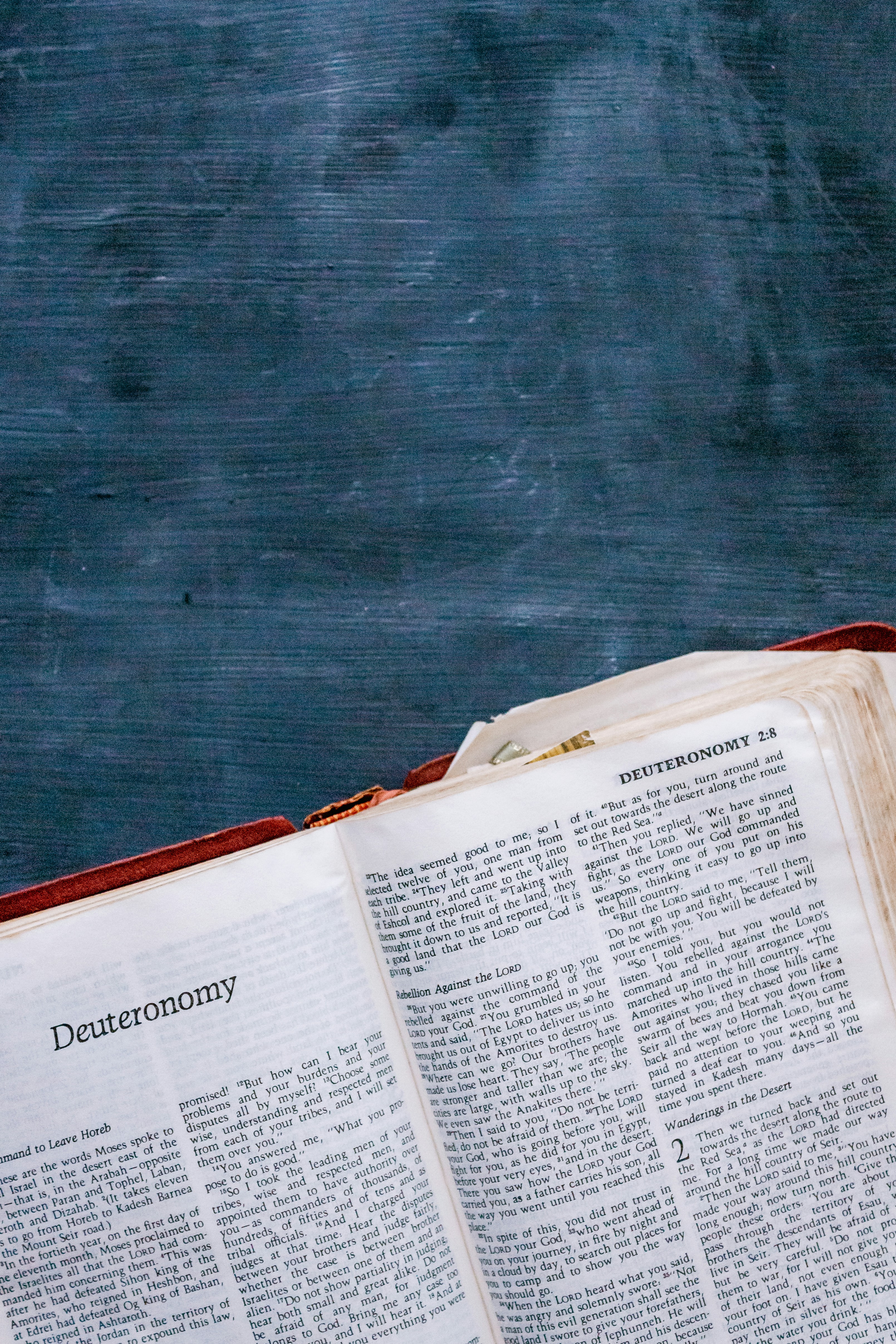 Photo by sincerelymedia