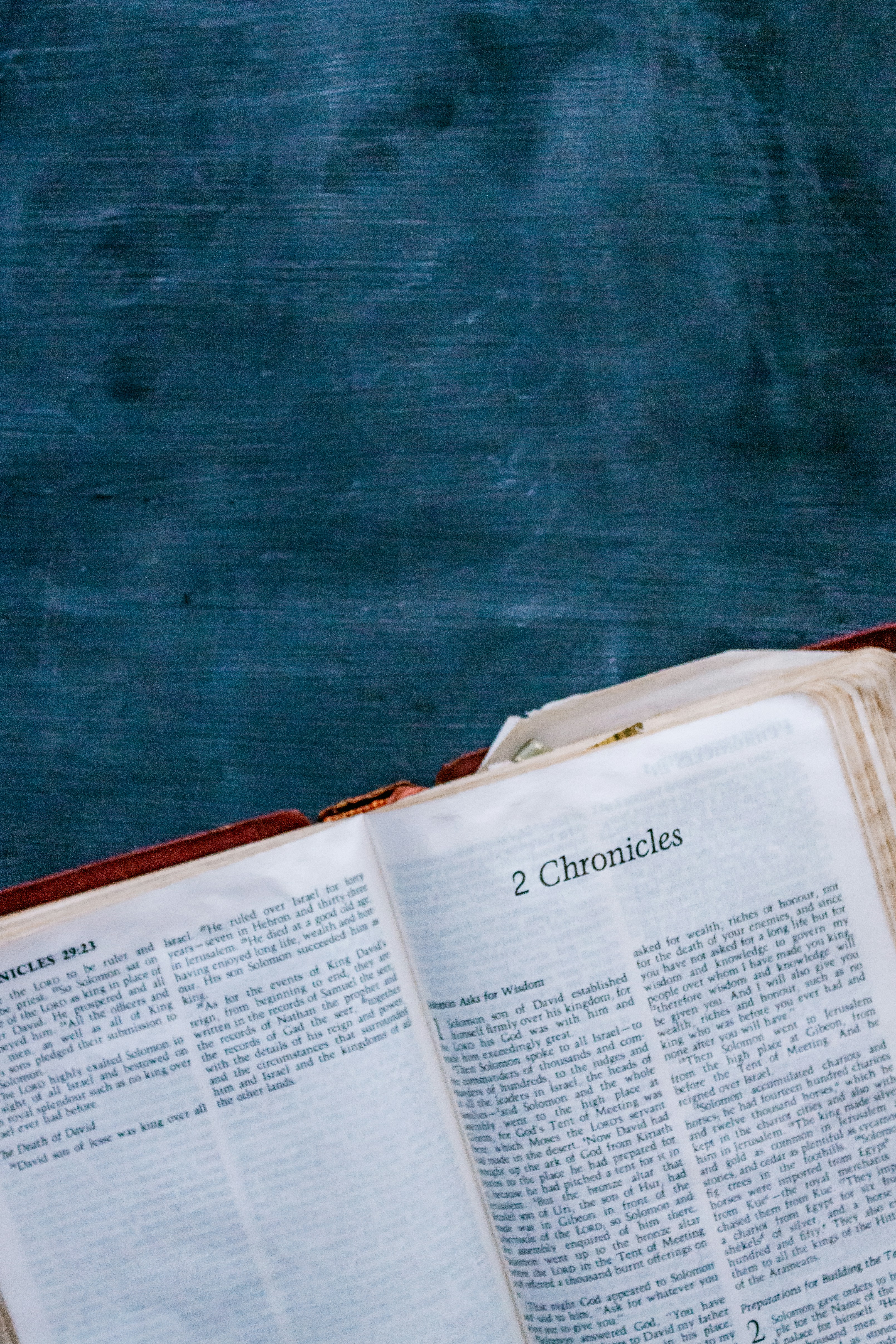 Photo by sincerelymedia