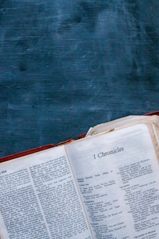 An open Bible displays the book of 1 Chronicles on a rustic blue wooden surface. The pages are slightly aged, and the Bible is bound in red leather. The focus is on the text, which is clearly printed in black ink.