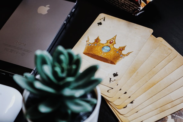A close-up of several playing cards fanned out, with an Ace of Spades prominently displaying a golden crown. Next to the cards is a green succulent plant in a pot. An iPhone is visible, along with a partially visible snack package.