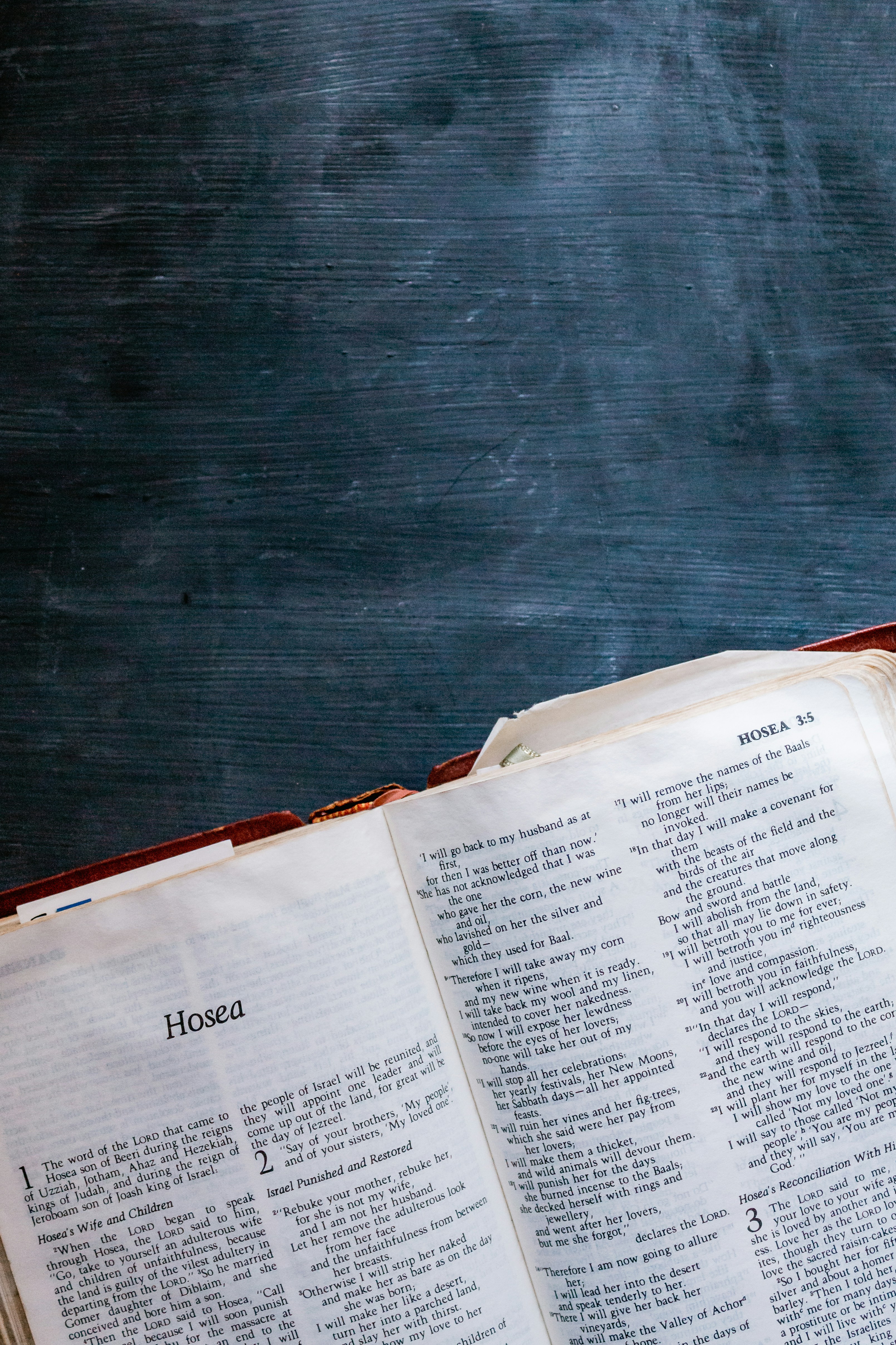 Photo by sincerelymedia