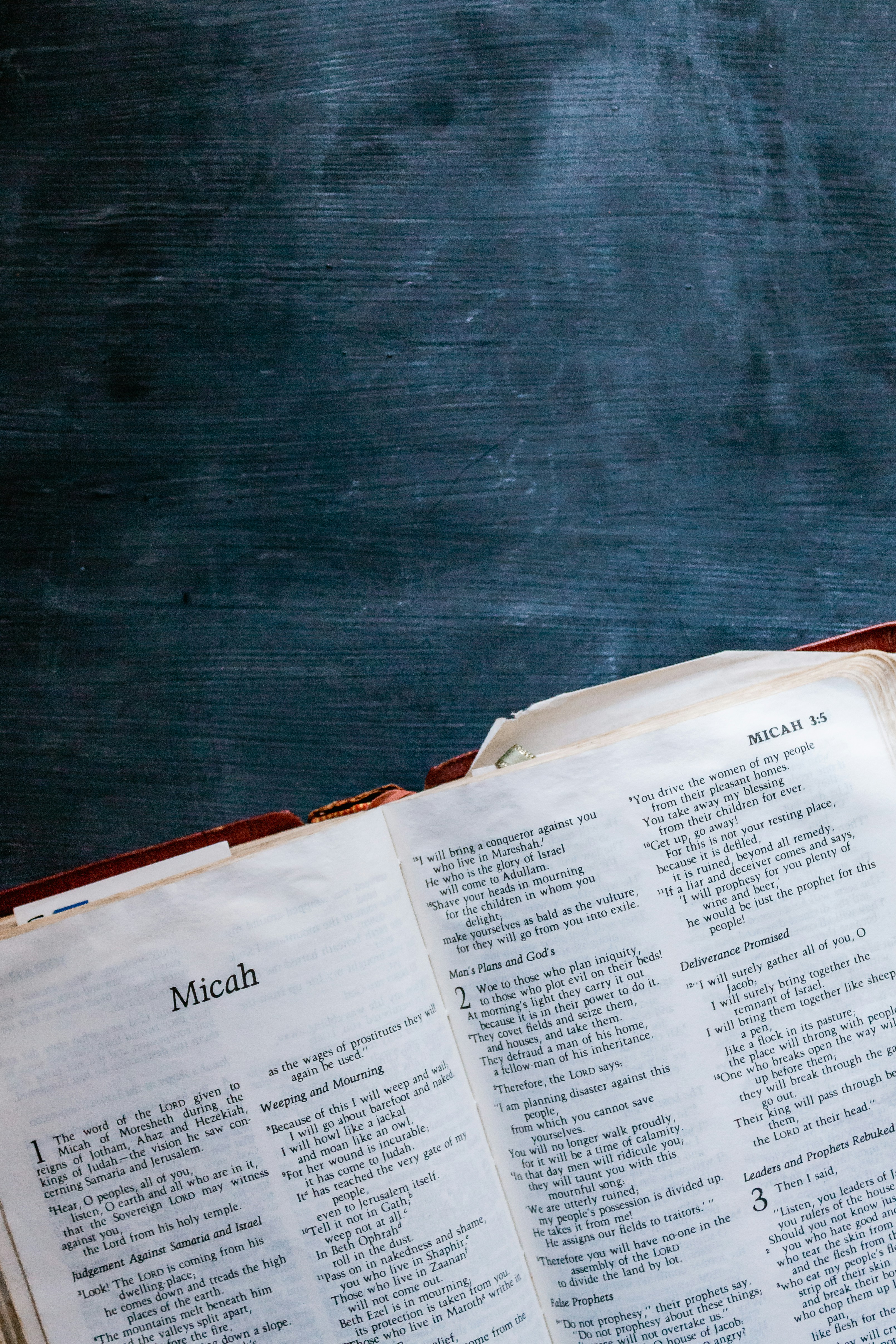 Photo by sincerelymedia