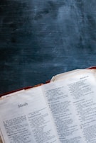 An open Light Lantern Family book with colorful illustrations of Maya and Micah on a Bible adventure.