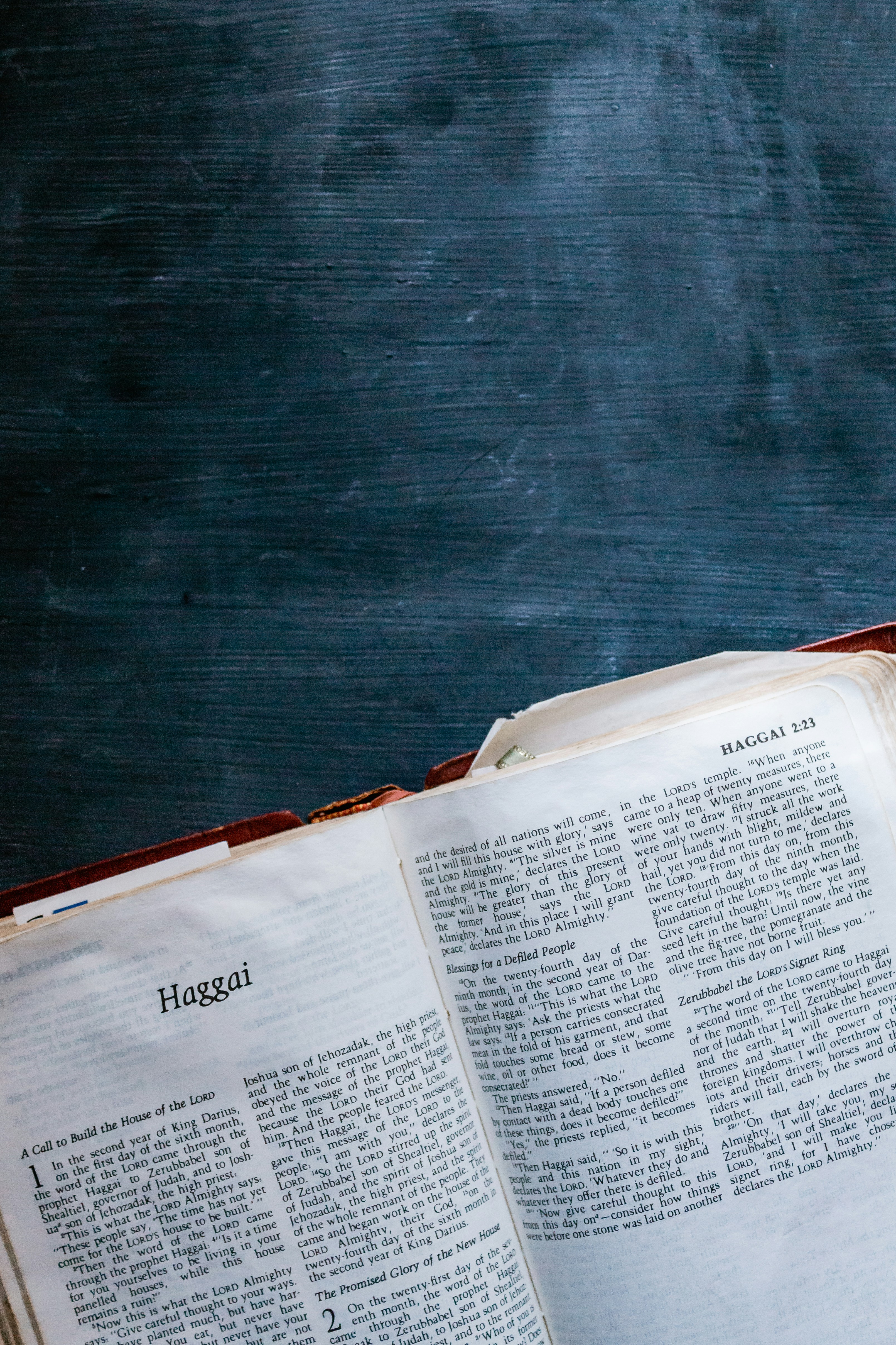 Photo by sincerelymedia