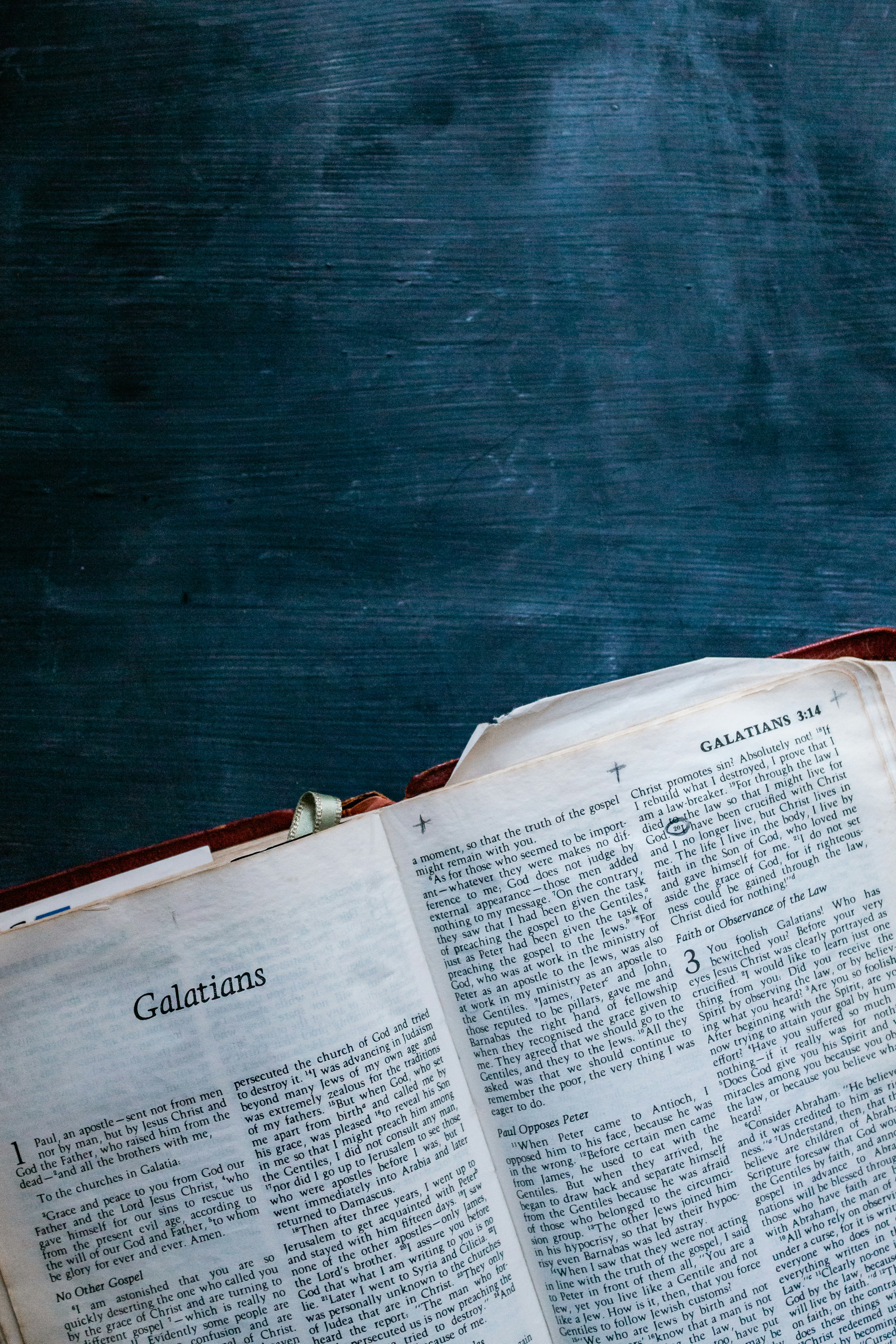 Photo by sincerelymedia