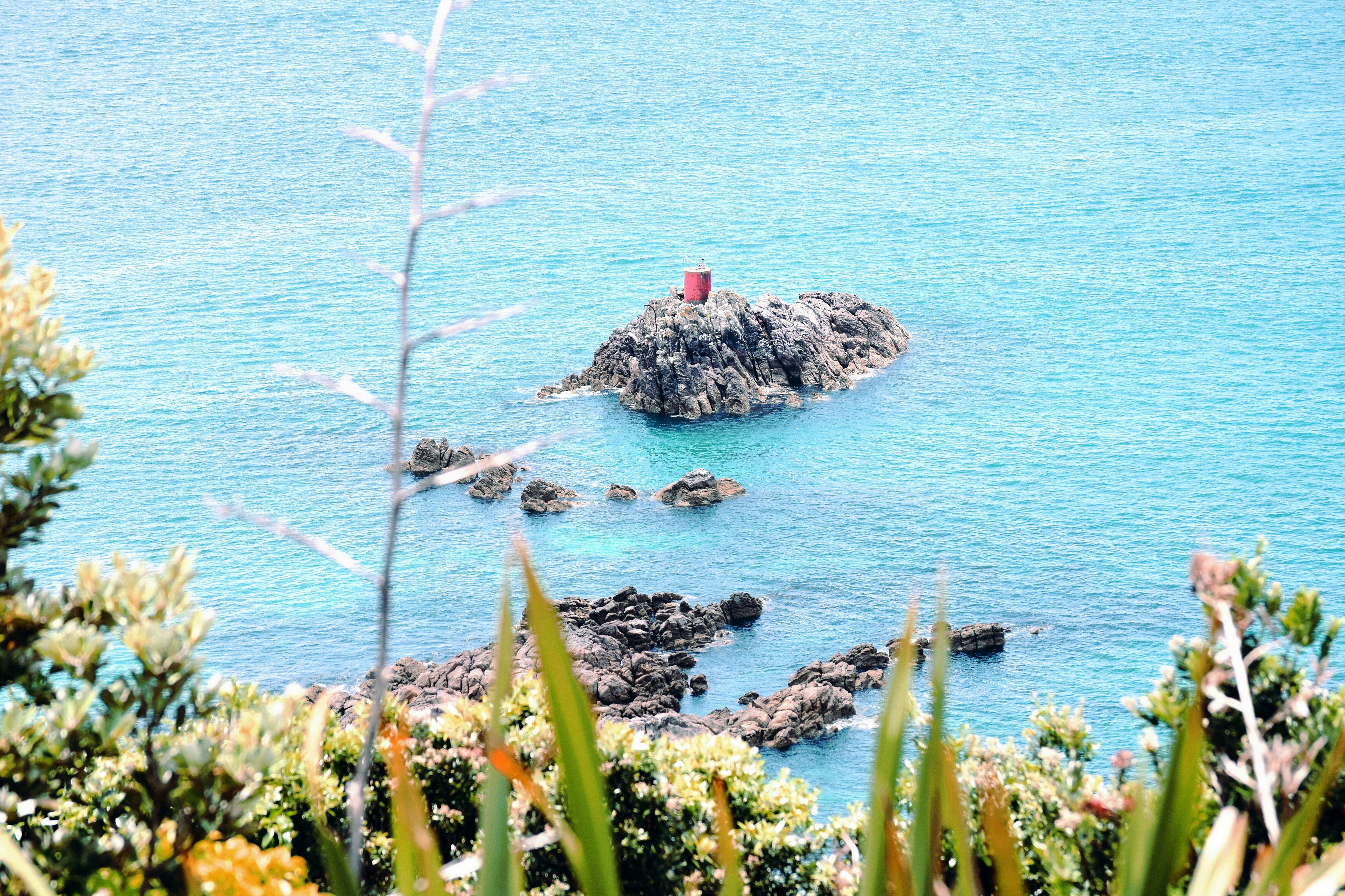 Photo by nicksarvari