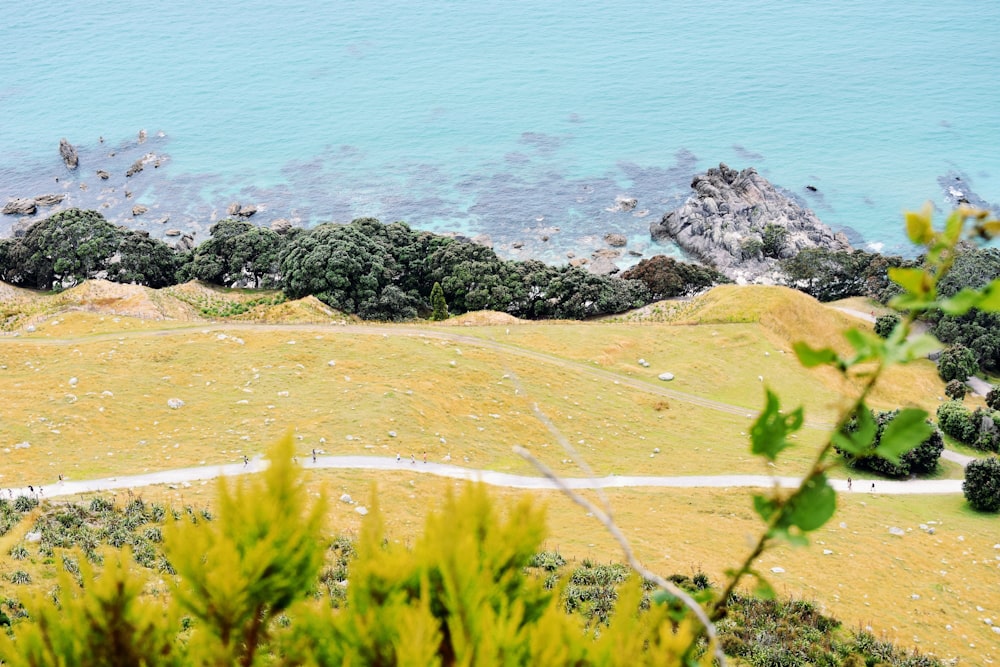 green grass field near body of water during daytime